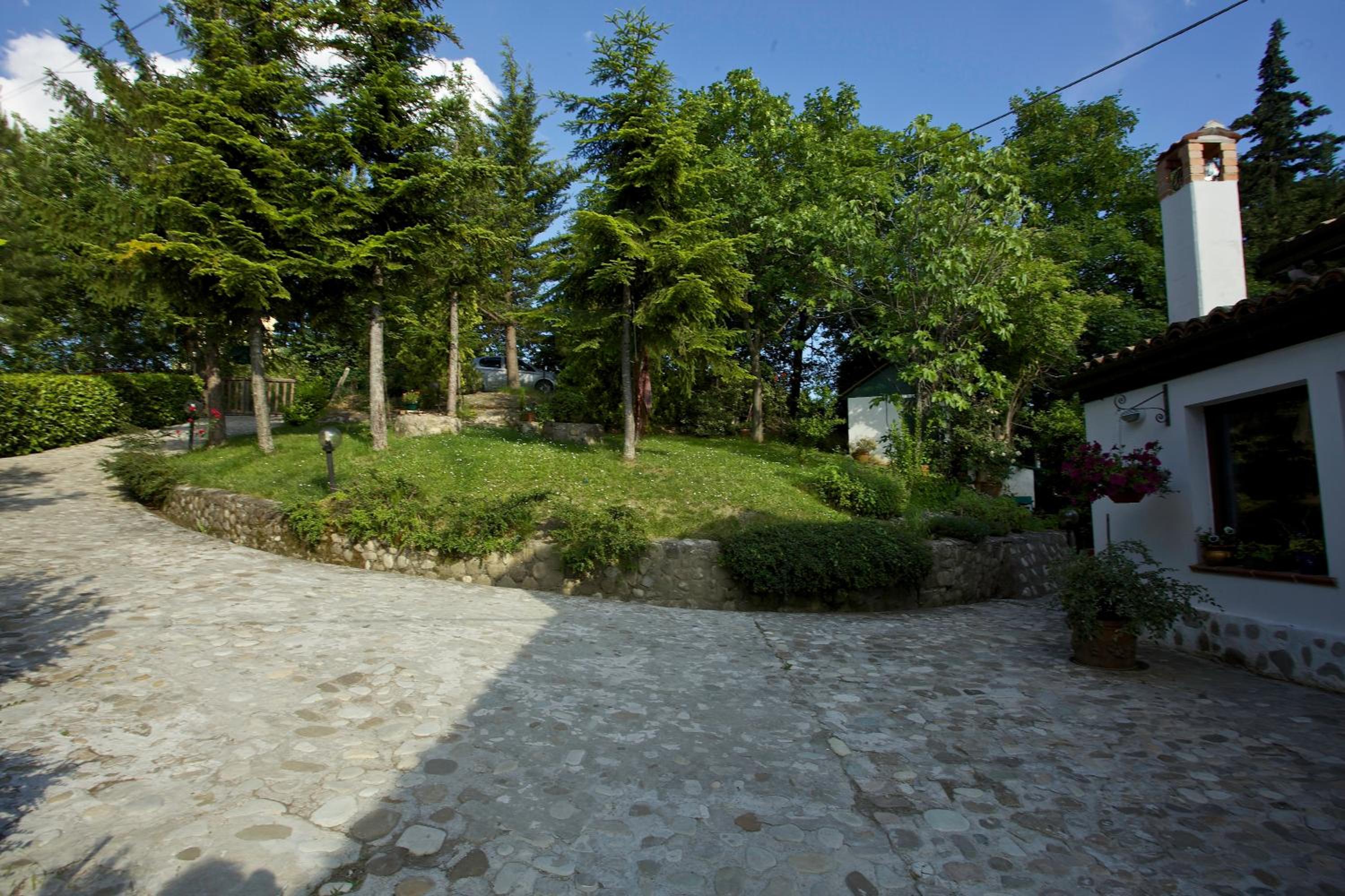 Photo 40