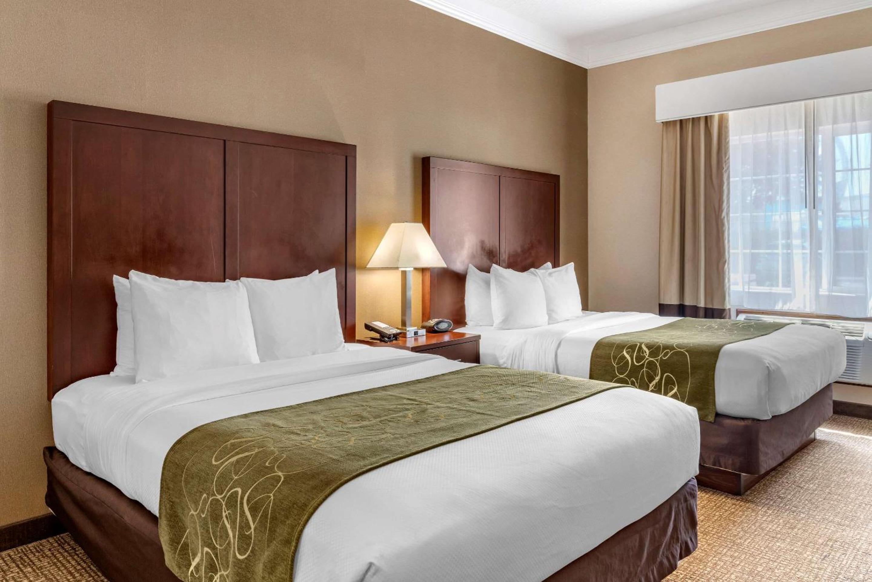 Albany Vacations - Comfort Suites Linn County Fairground and Expo - Property Image 5