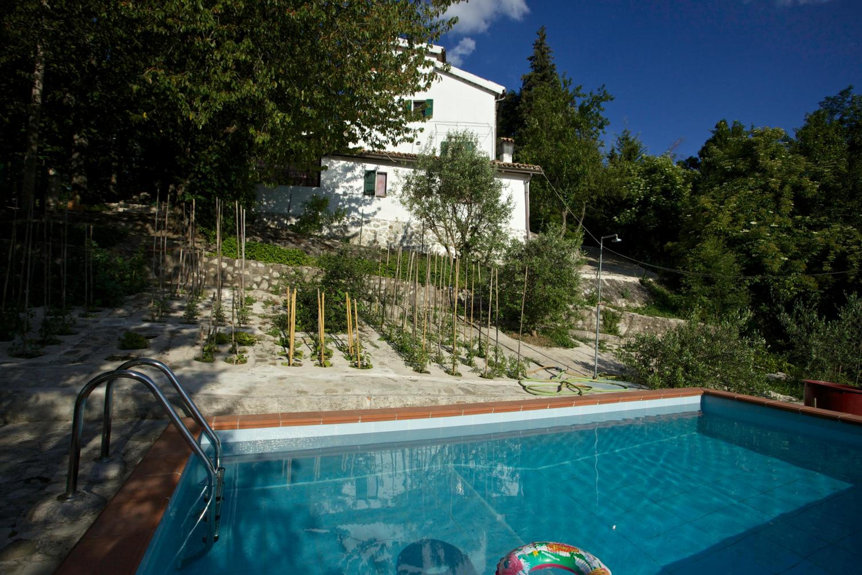 Photo 44