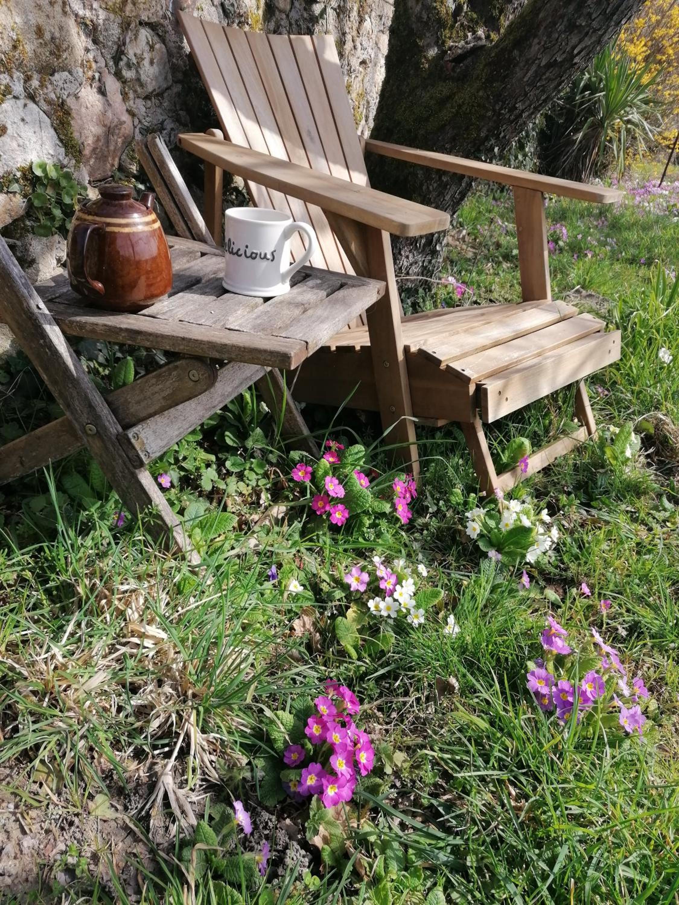 Photo 45