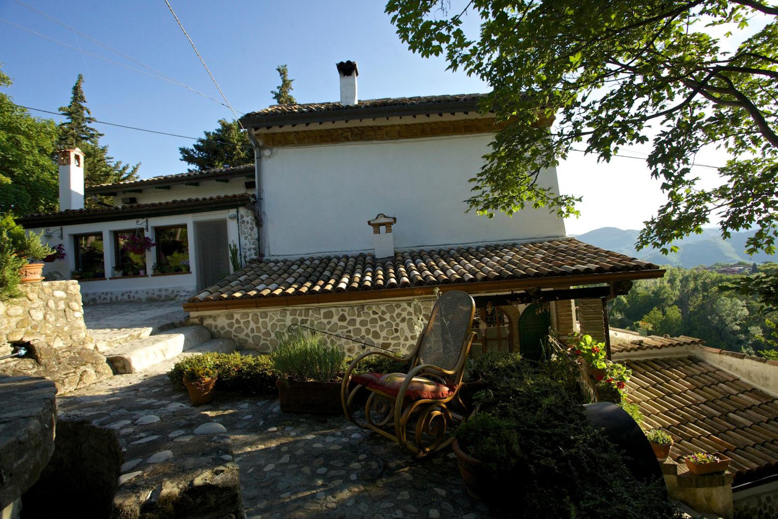 Photo 8