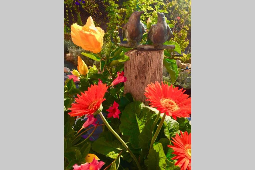 Casa della Bella Vita. Sea view appartement. view 2