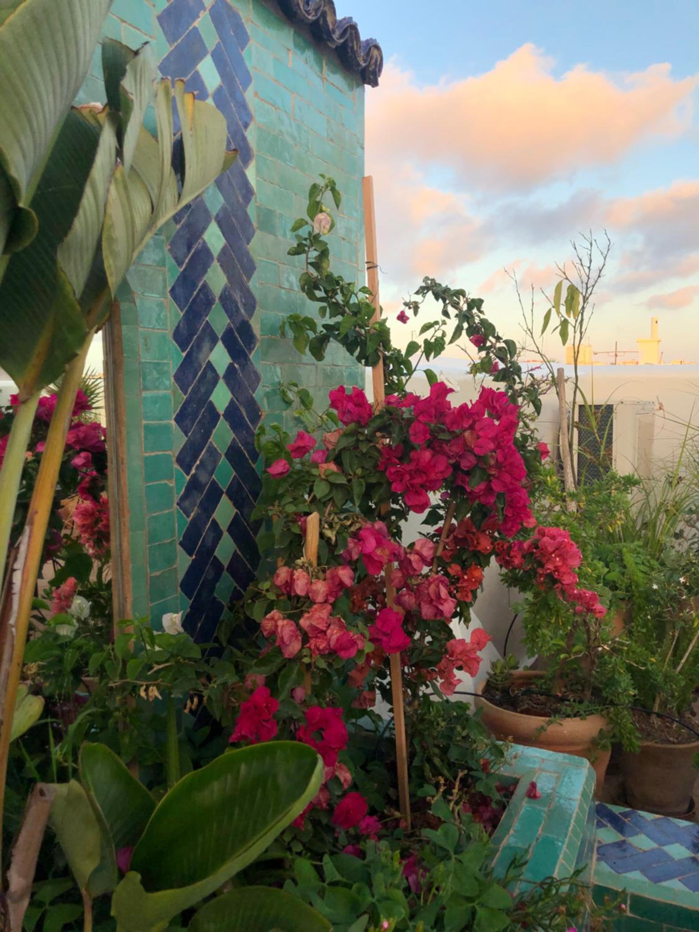 roof