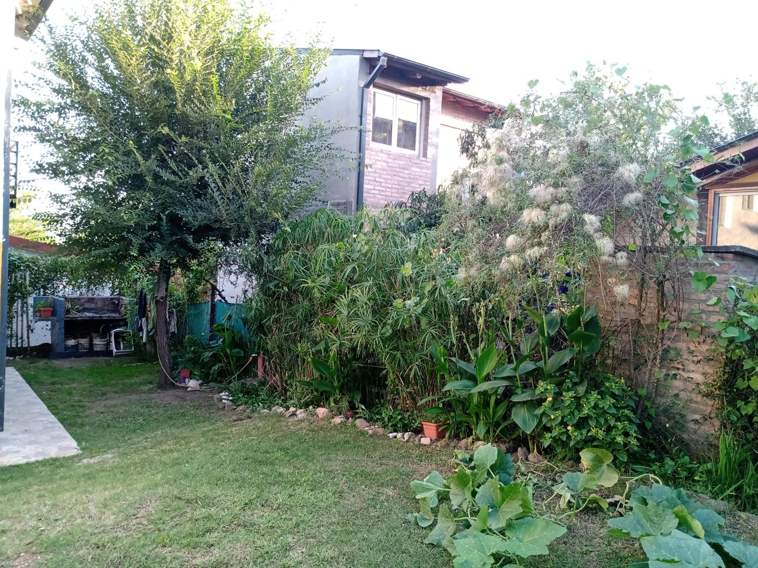 Cabaña Los Pinos