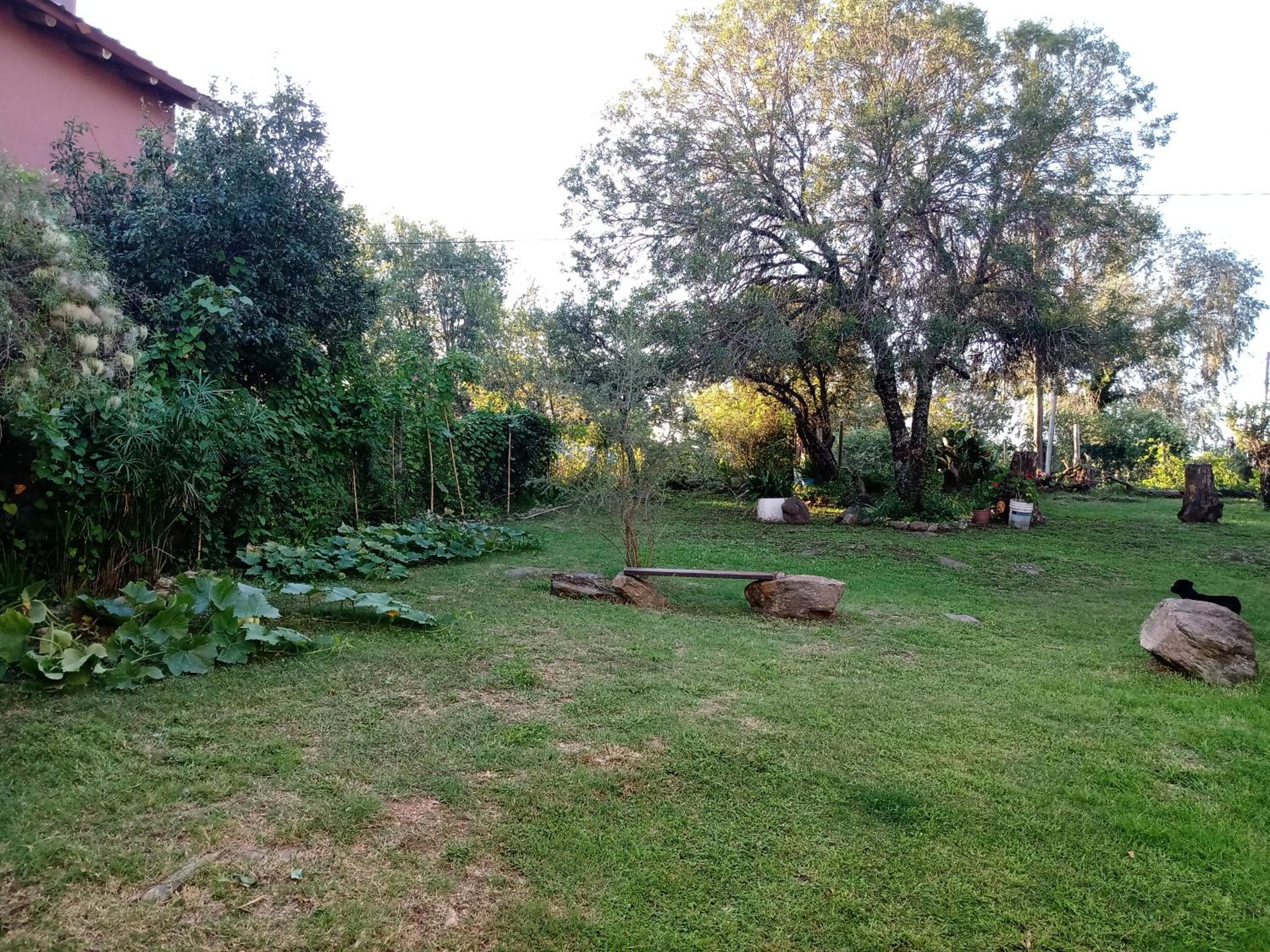 Cabaña Los Pinos