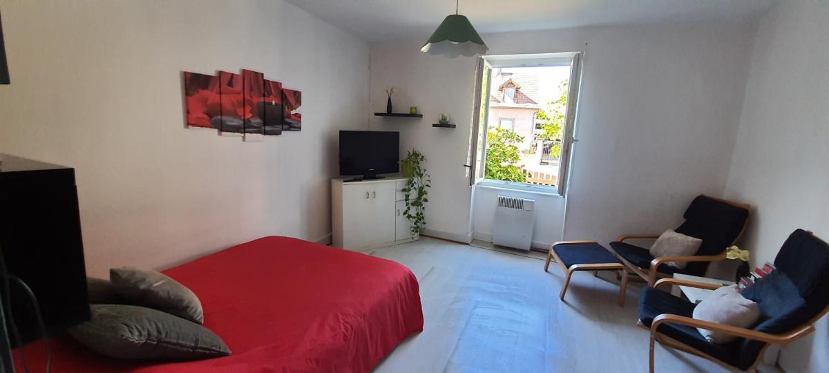 Appartement avec jardin à Colmar view 4