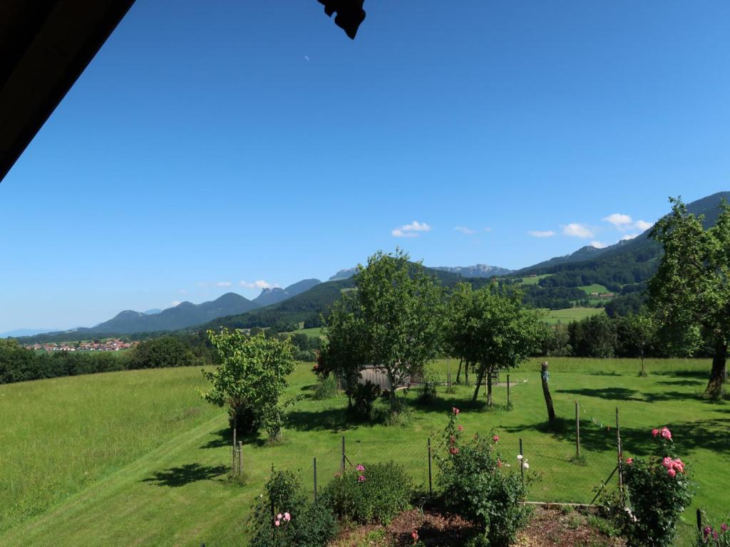 Beim Grafen view 3