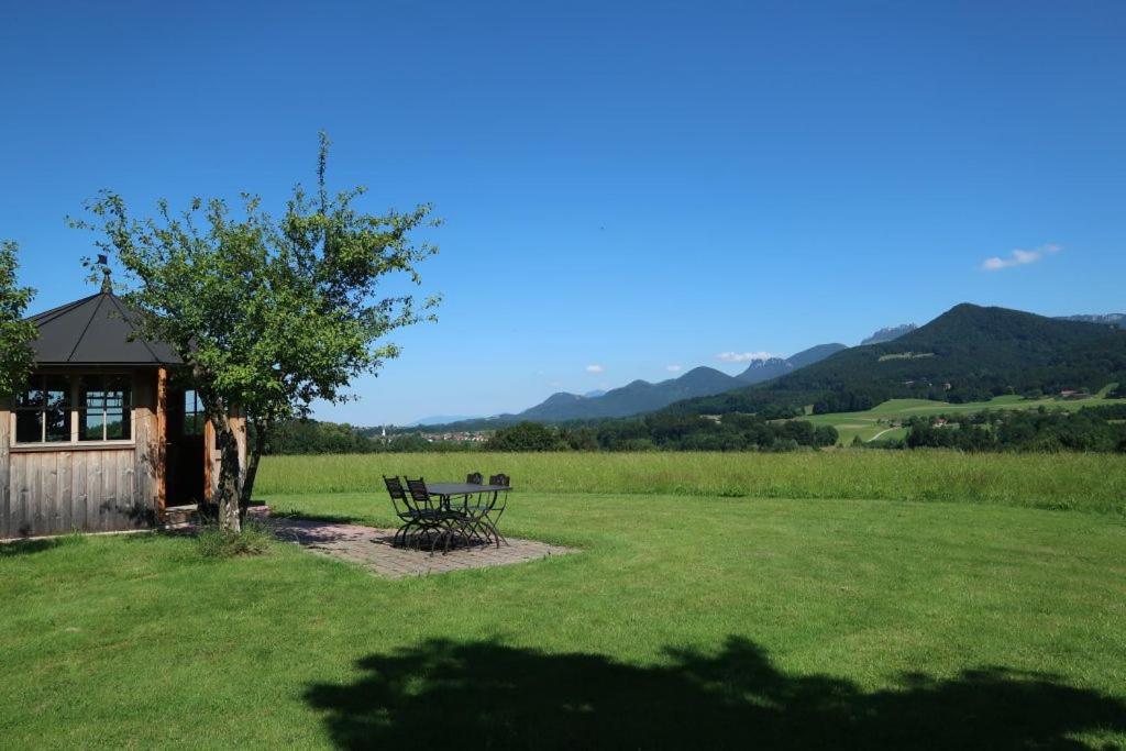 Beim Grafen view 5