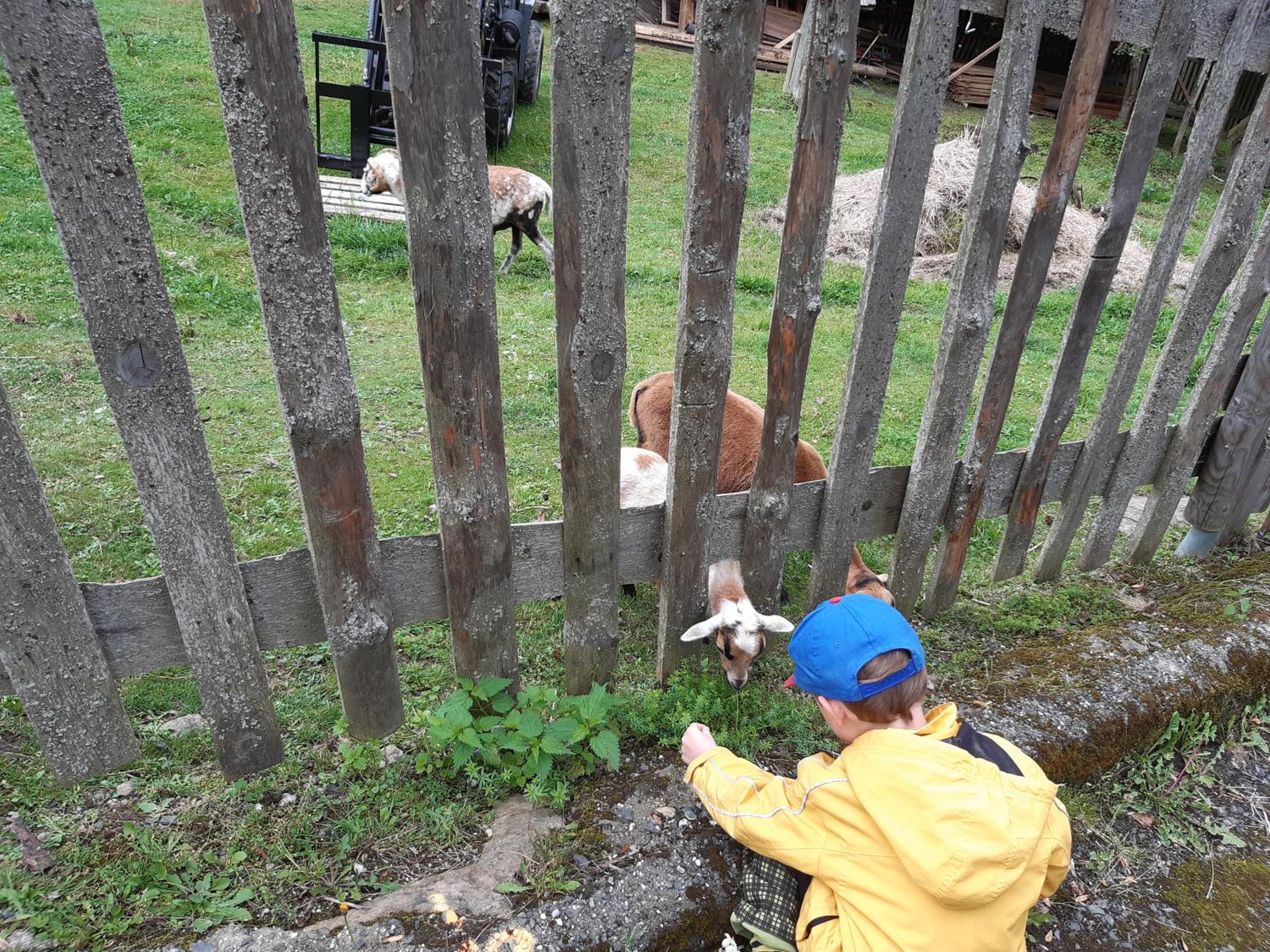 Photo 43