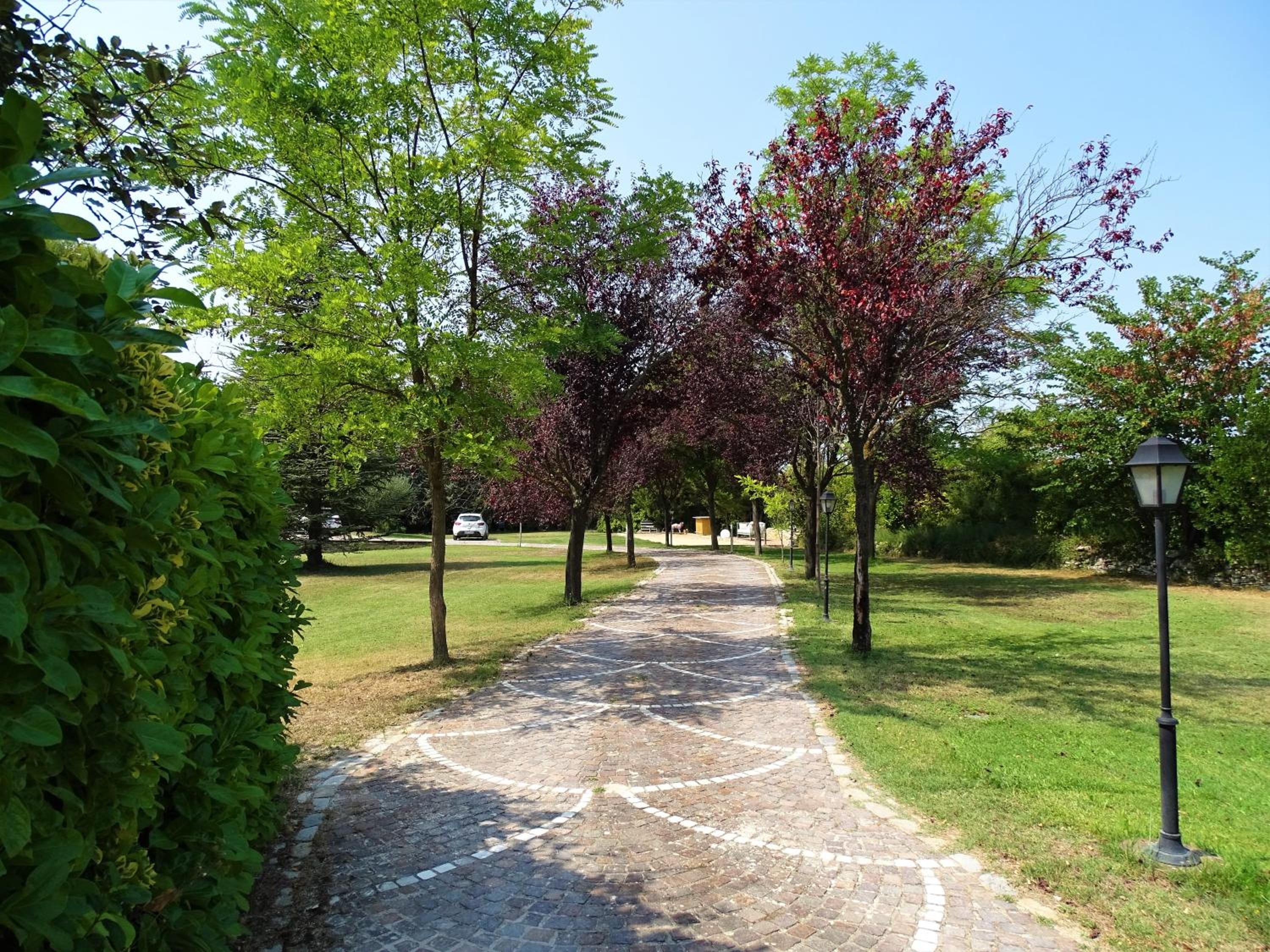 Photo 25
