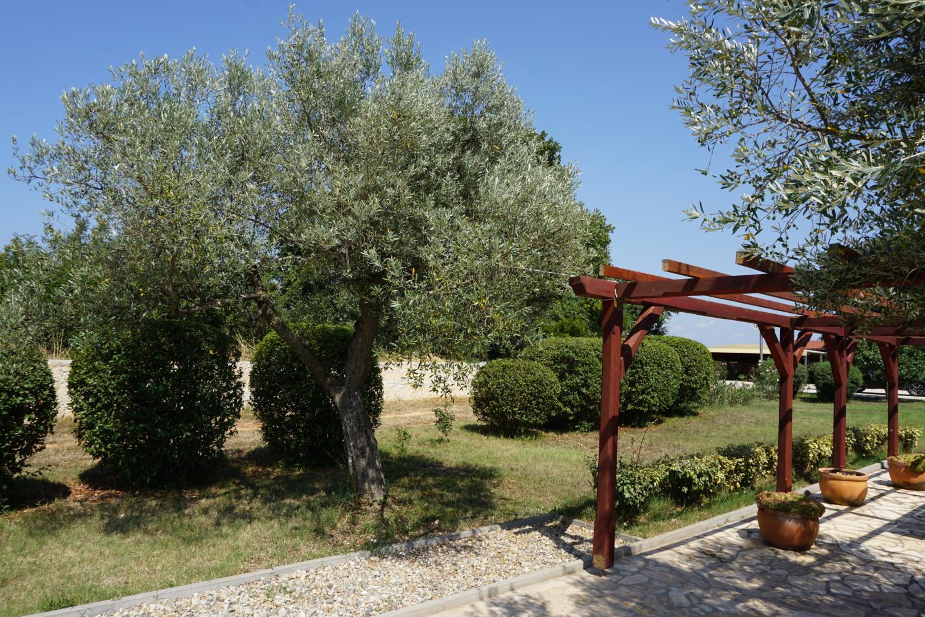 Photo 45