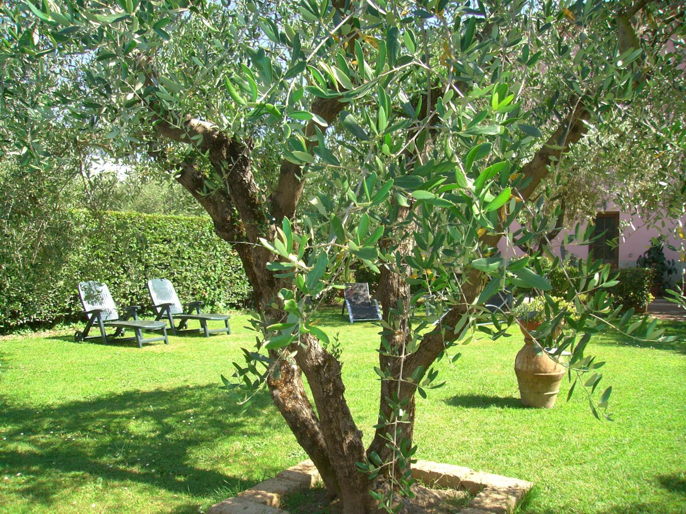 Tenuta Fagnani