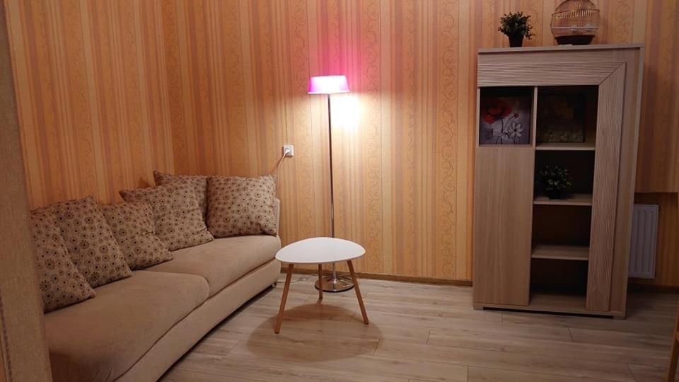 Danes Apartment by the River view 3