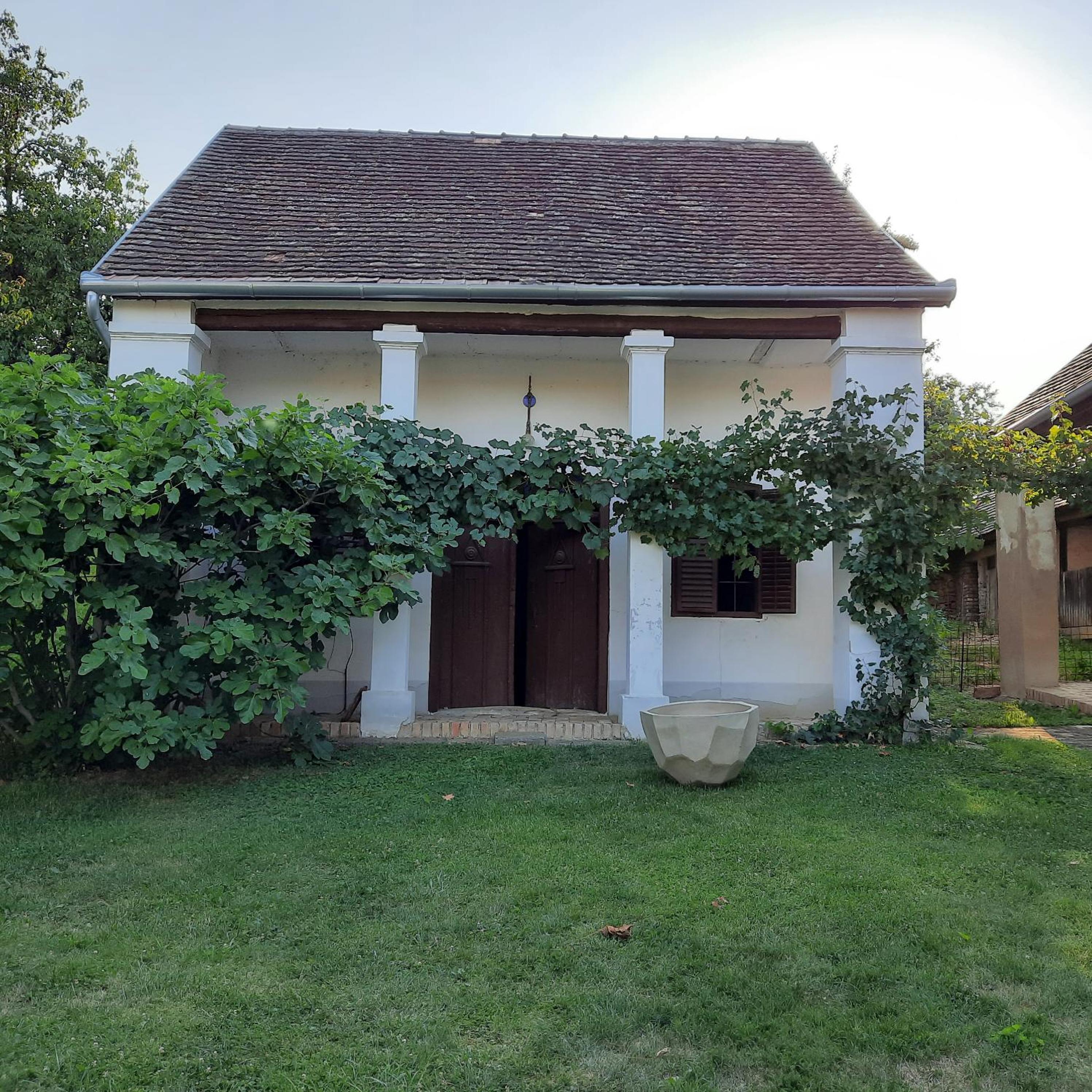 Photo 29