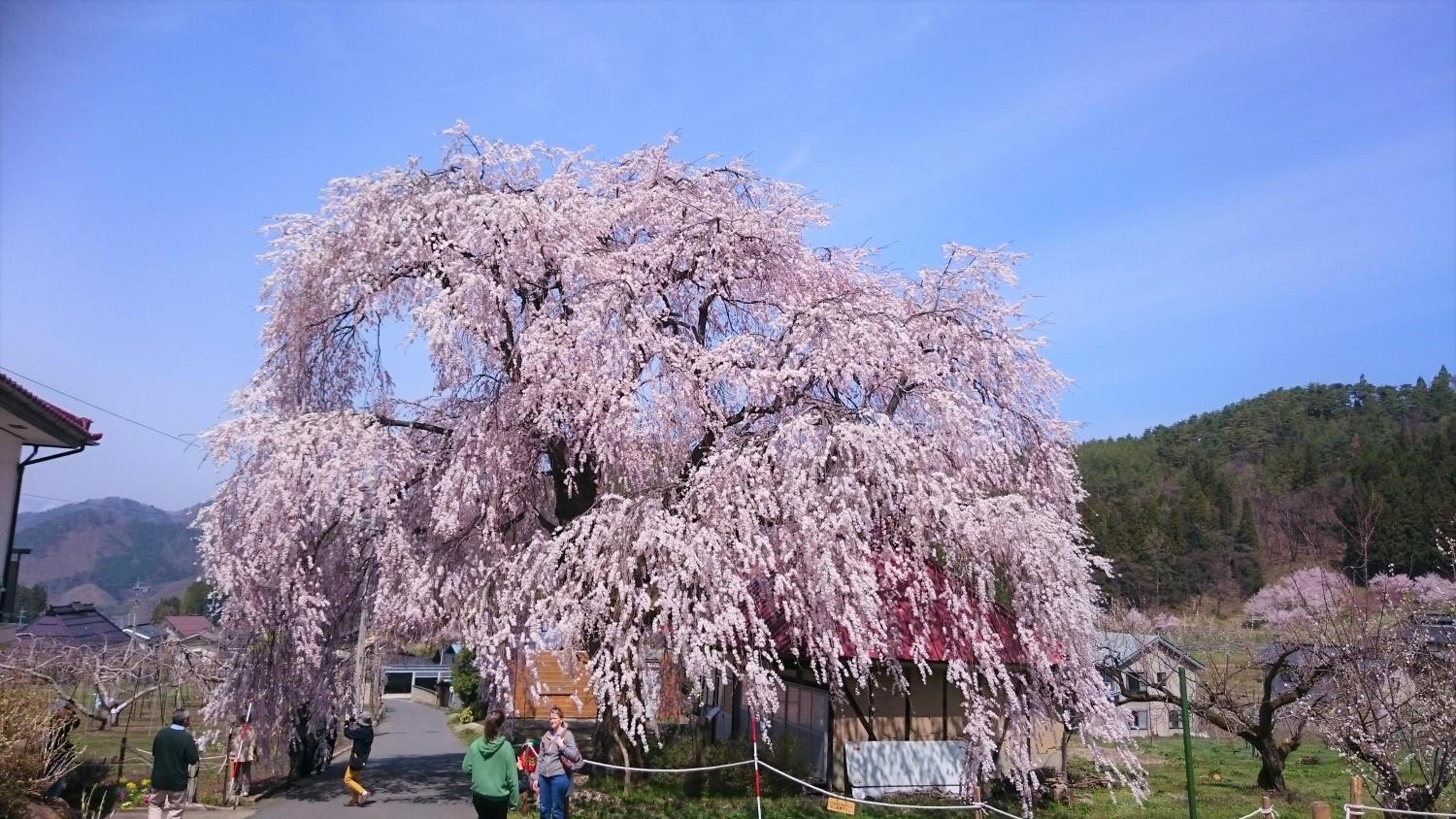 Ryokan Warabino