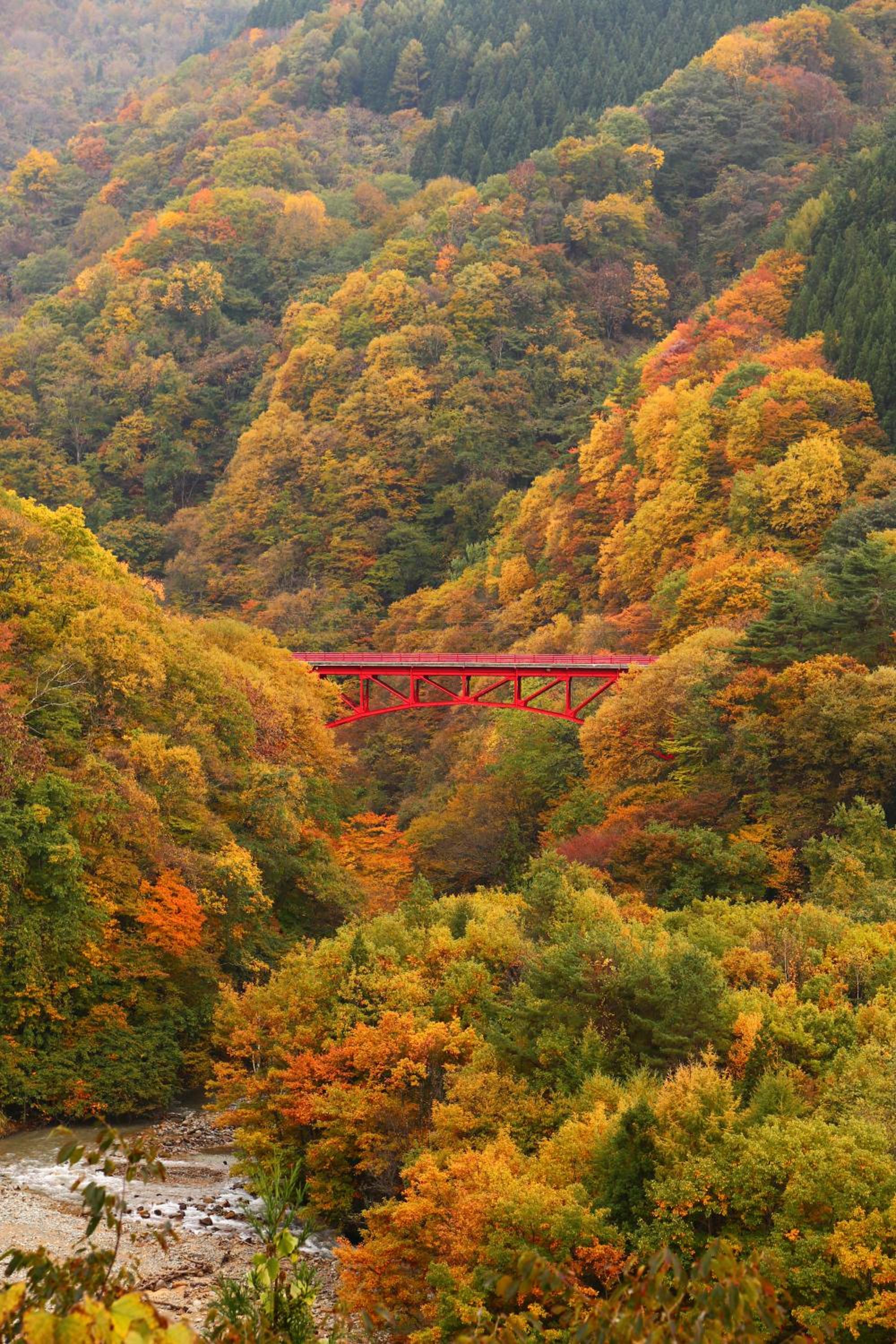 Ryokan Warabino