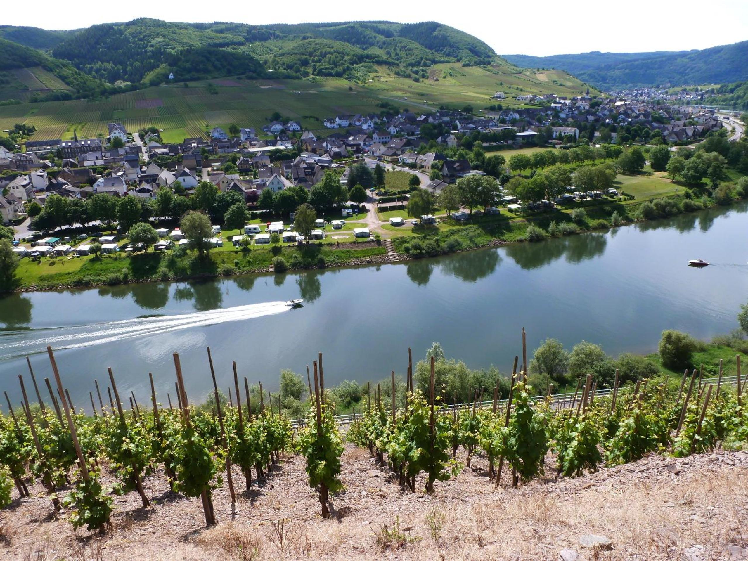 Ferienwohnungen Am Bruttiger Moselsteig