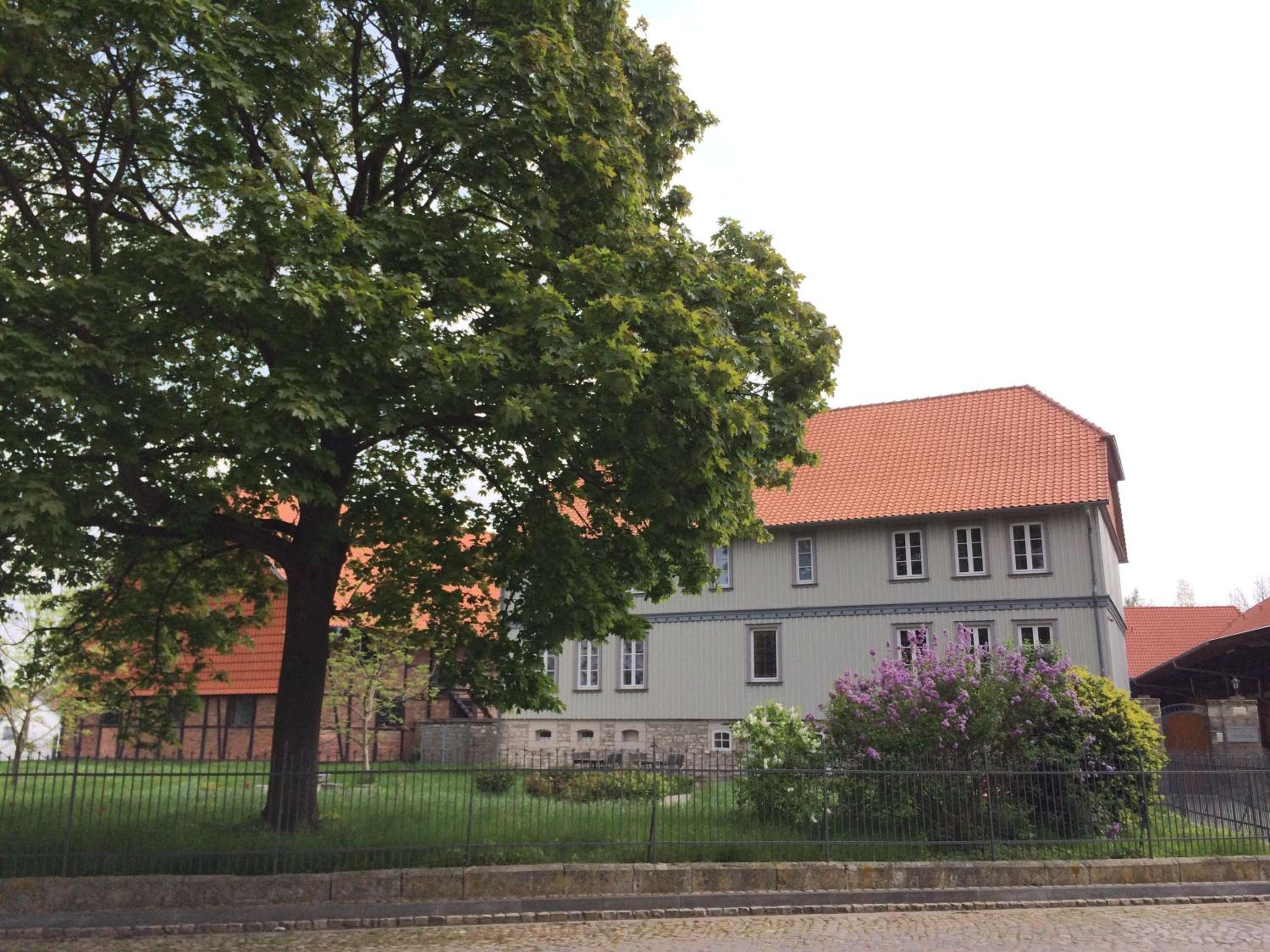 Photo 12