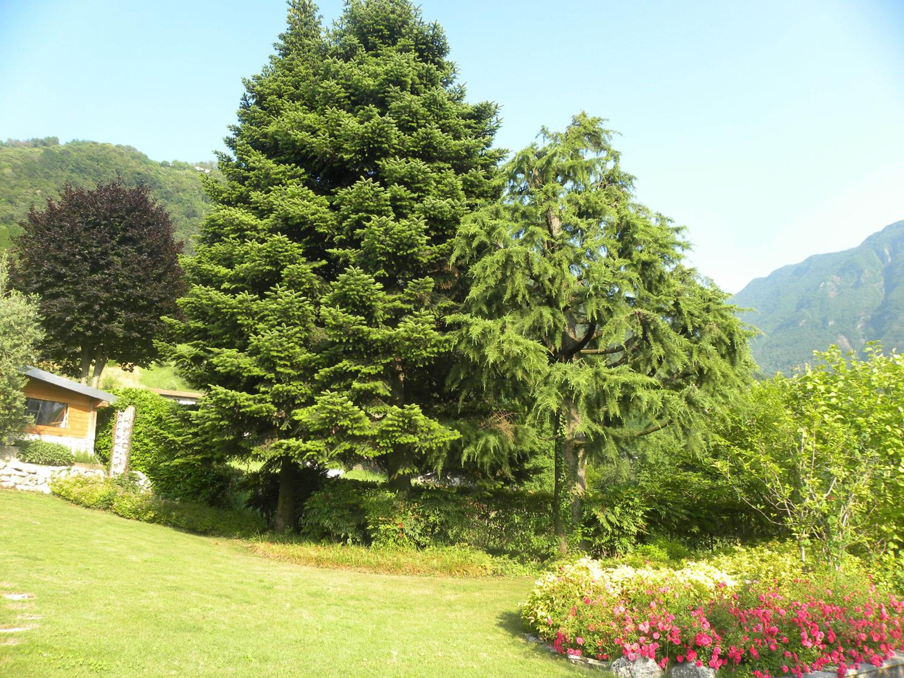 Villa Romele