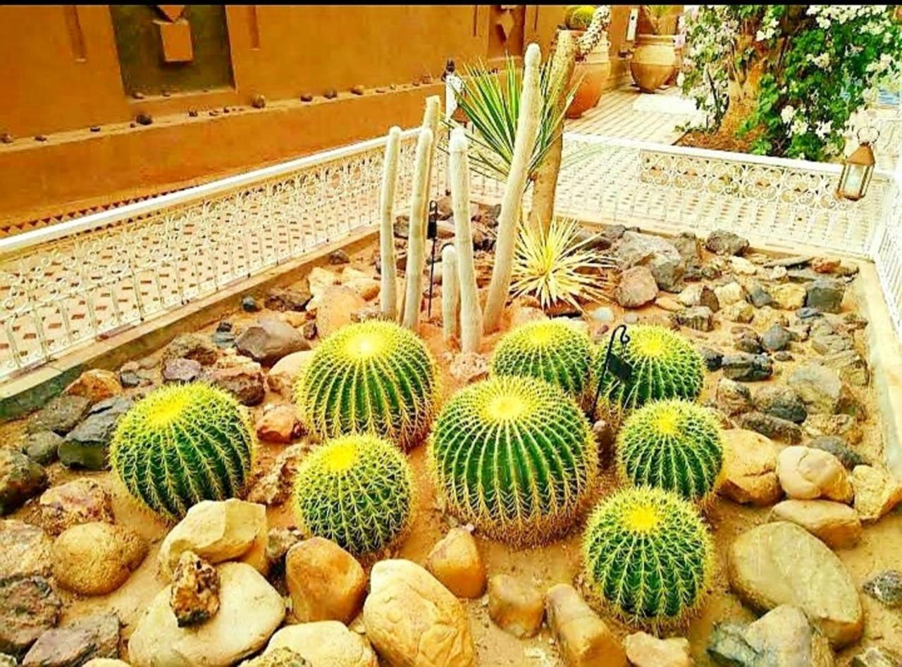 Riad Dar Sofian view 4