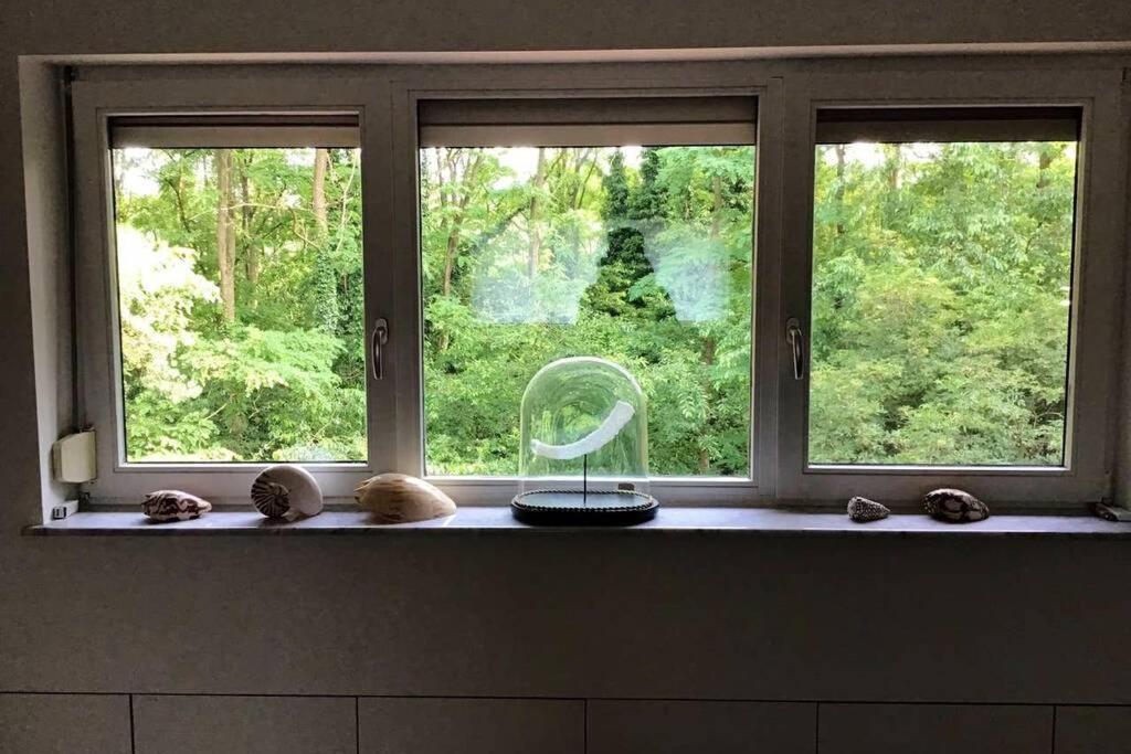 Charming house in the woods with private wellness
