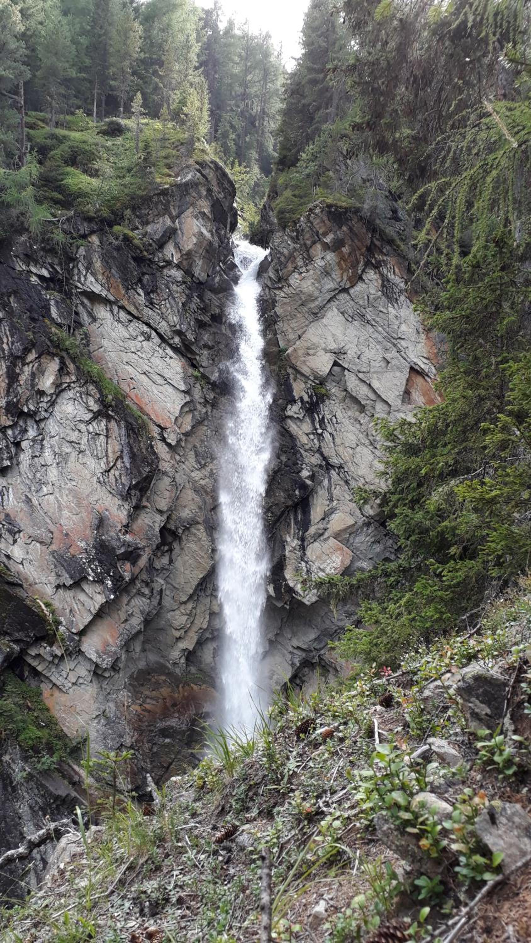 Photo 45