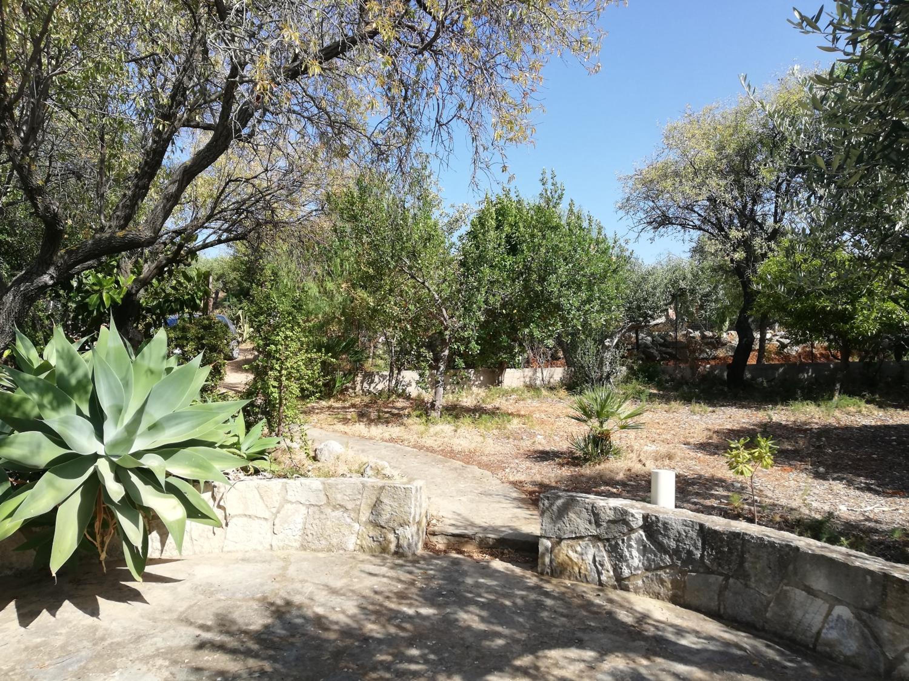 Photo 38