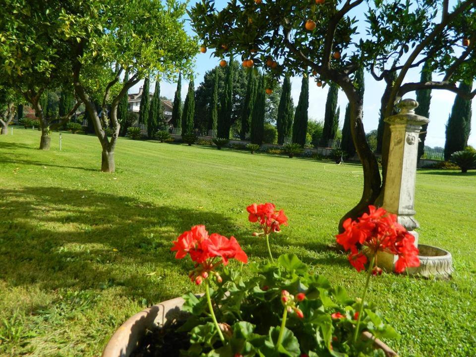 Villa Lucilla view 3
