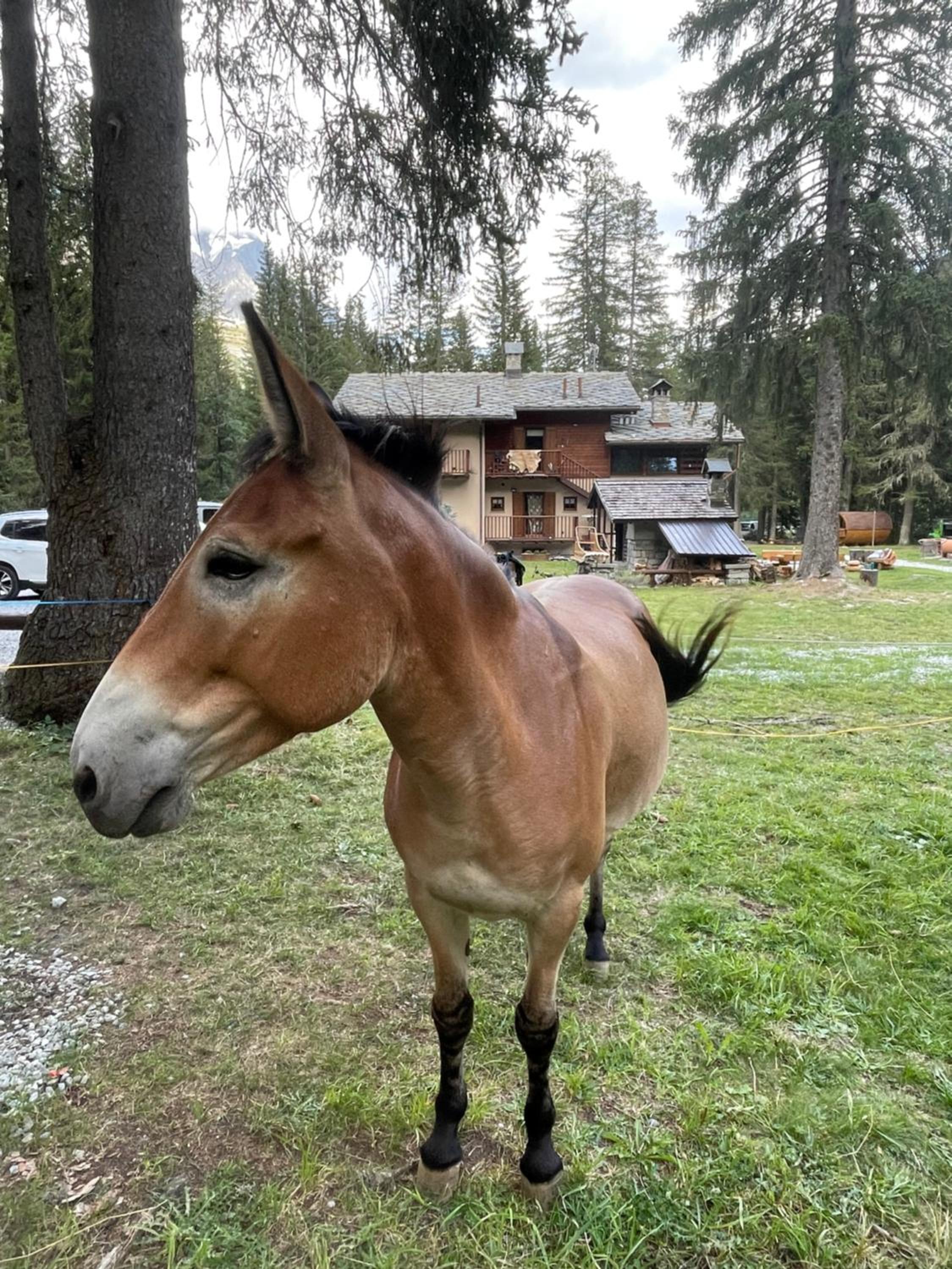 Photo 63