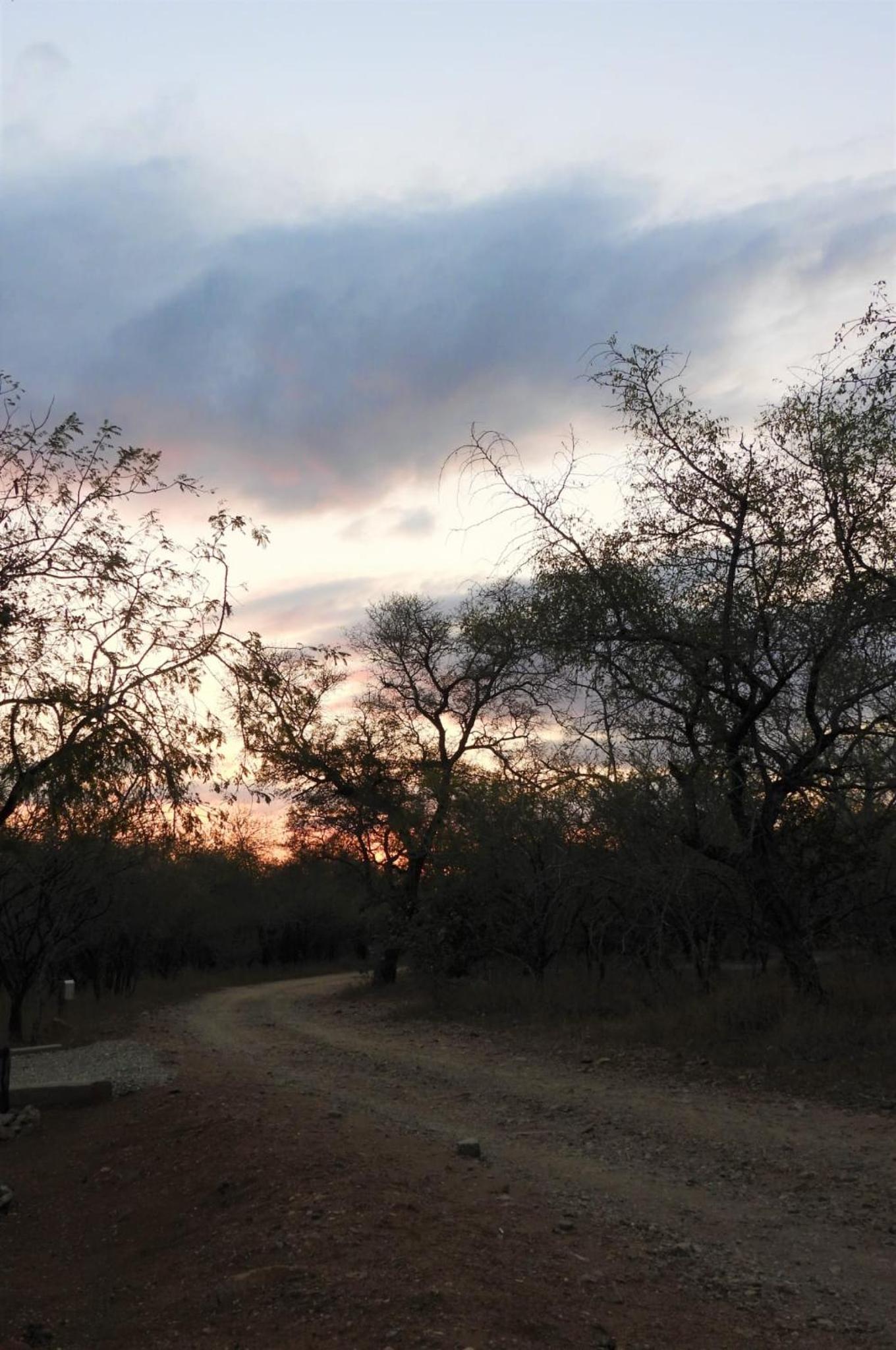 Locust Retreat Immaculate 2bedroom cottage view 3