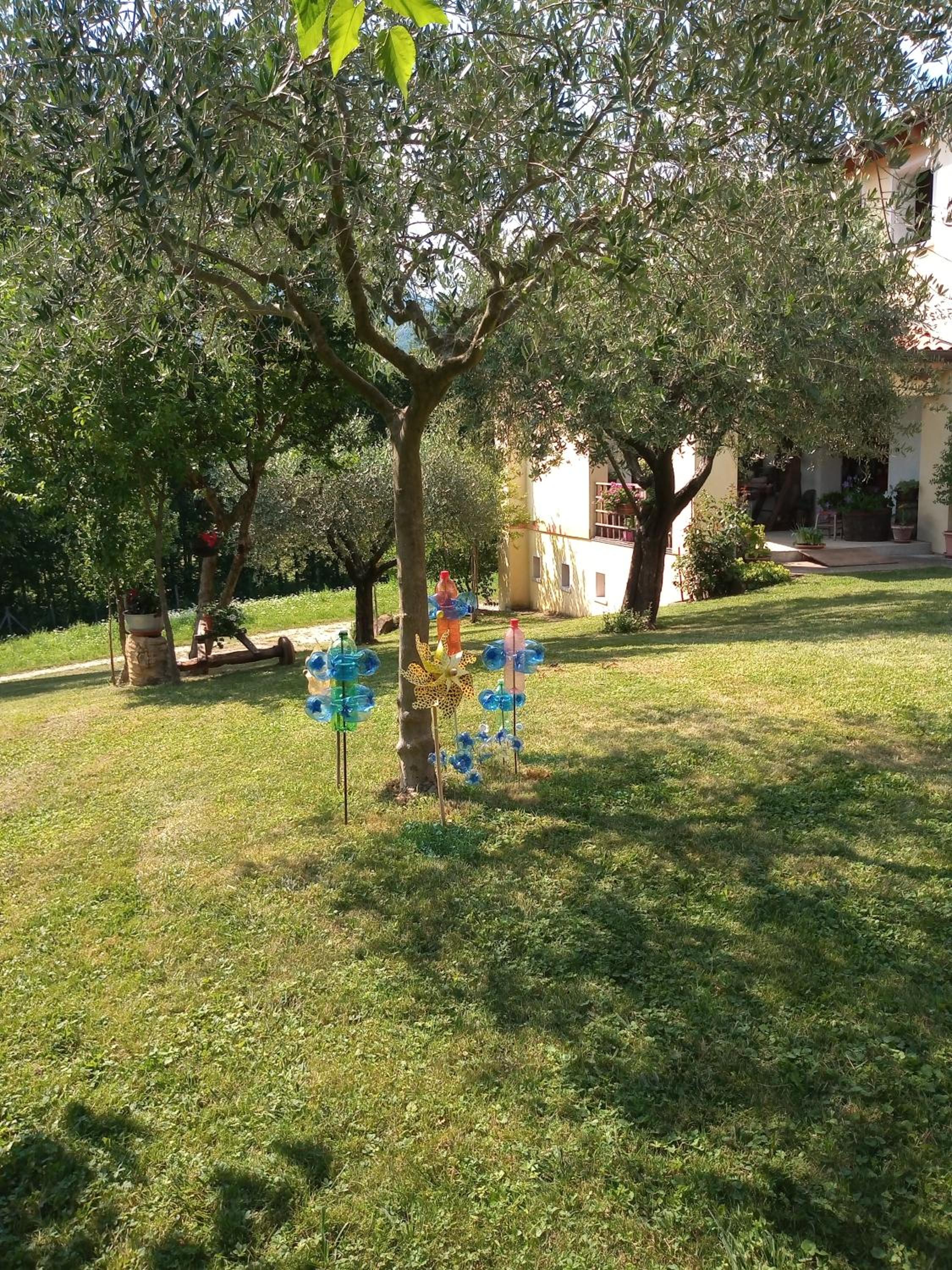 Photo 36