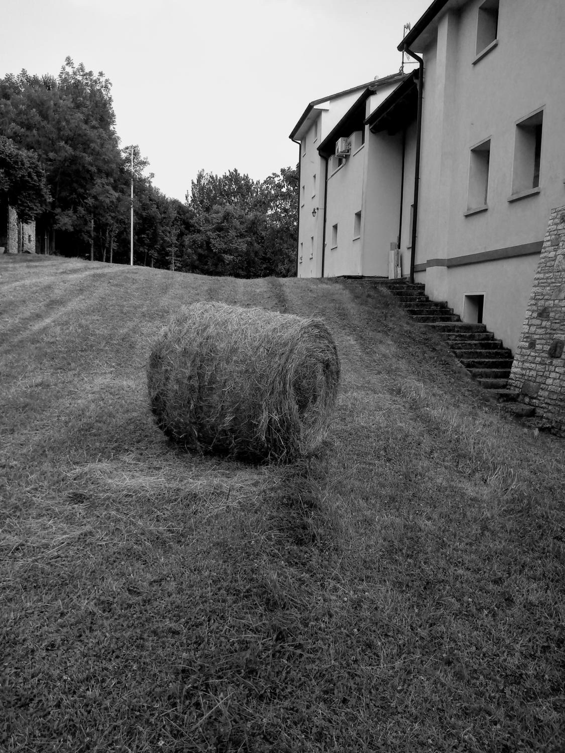 Photo 37