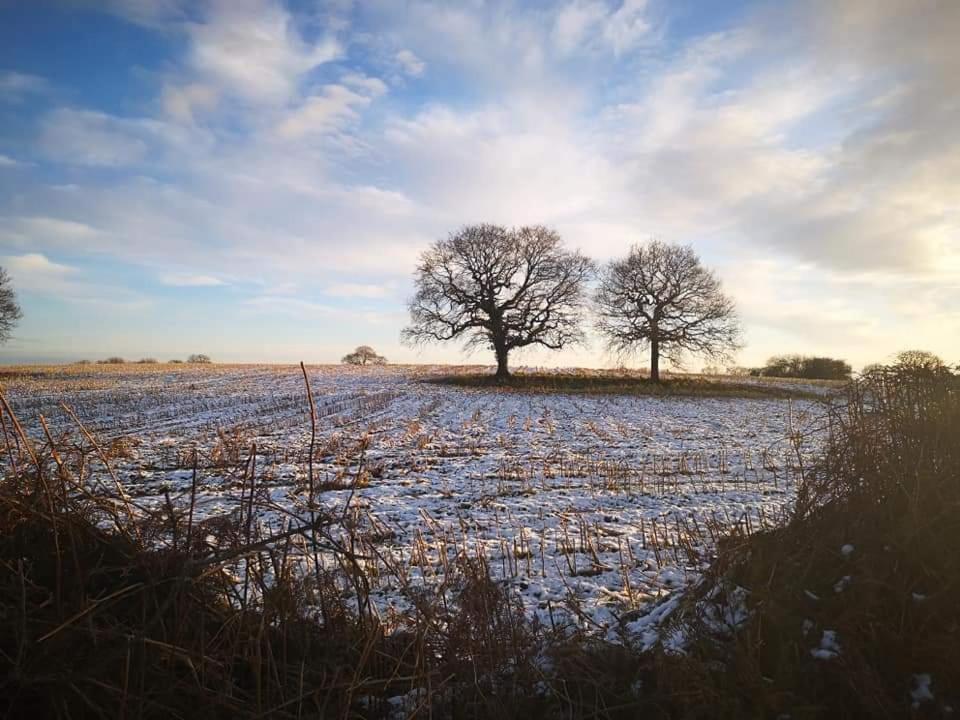 Relax in a 1 Bedroom Apartment near a country Pub view 3