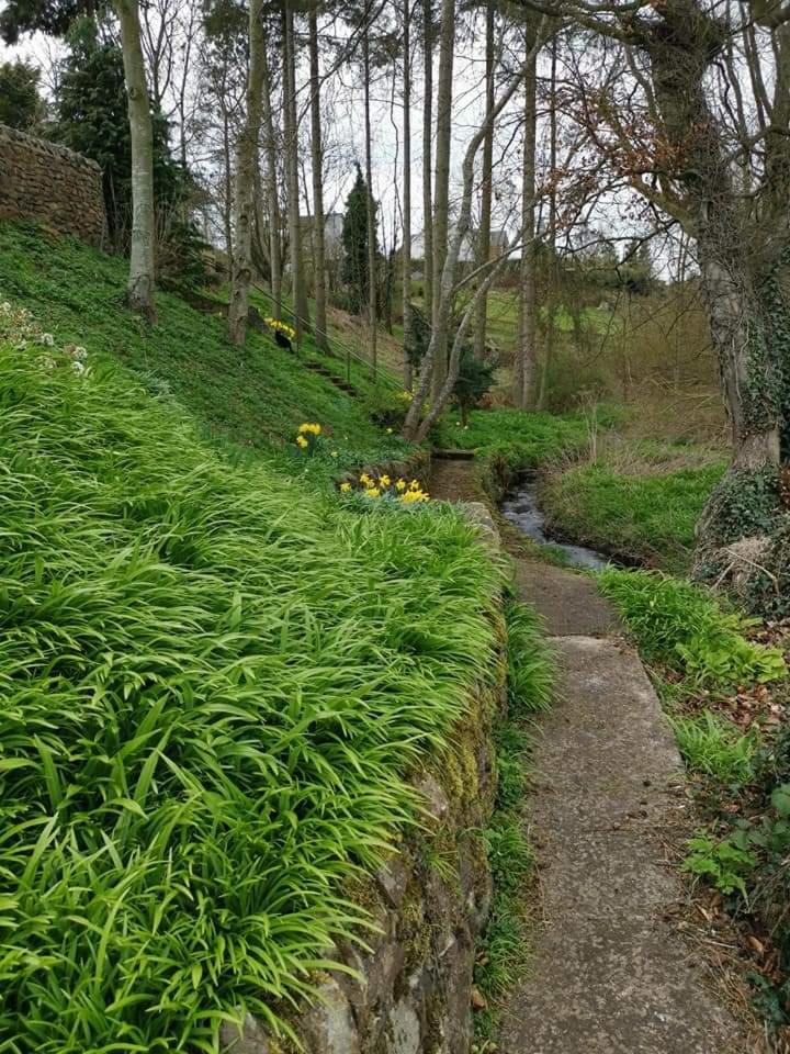 Relax in a 1 Bedroom Apartment near a country Pub view 4