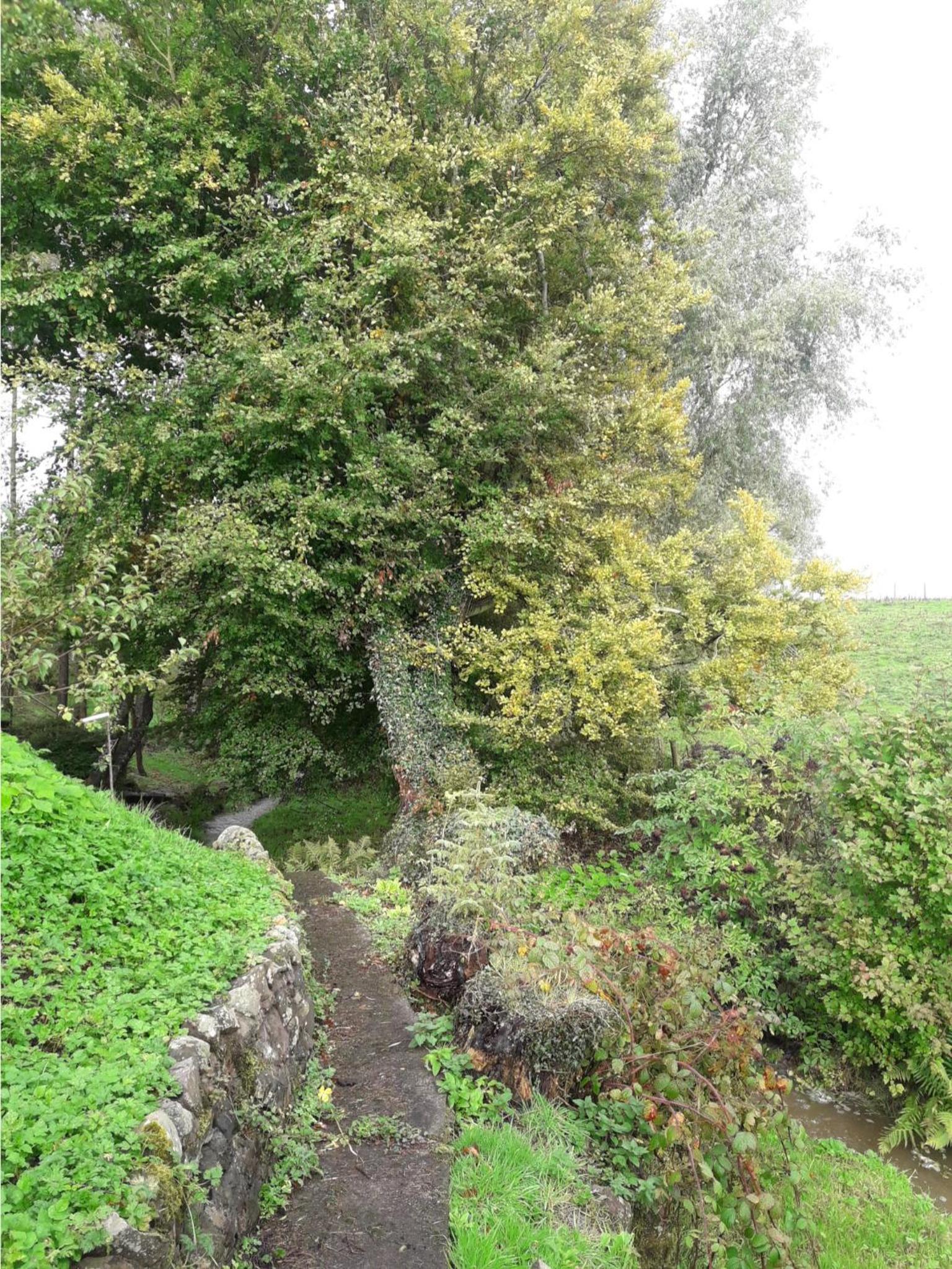 Photo 32