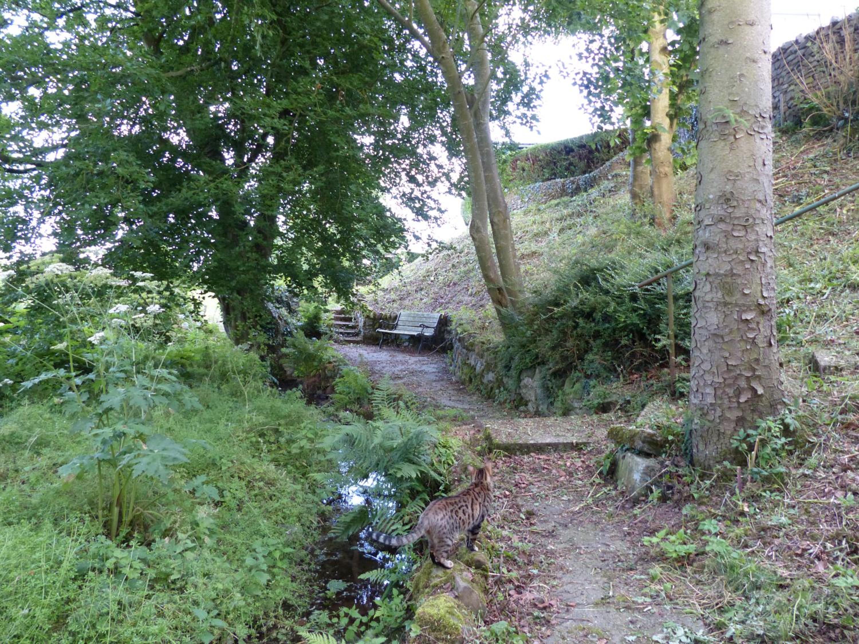 Photo 28