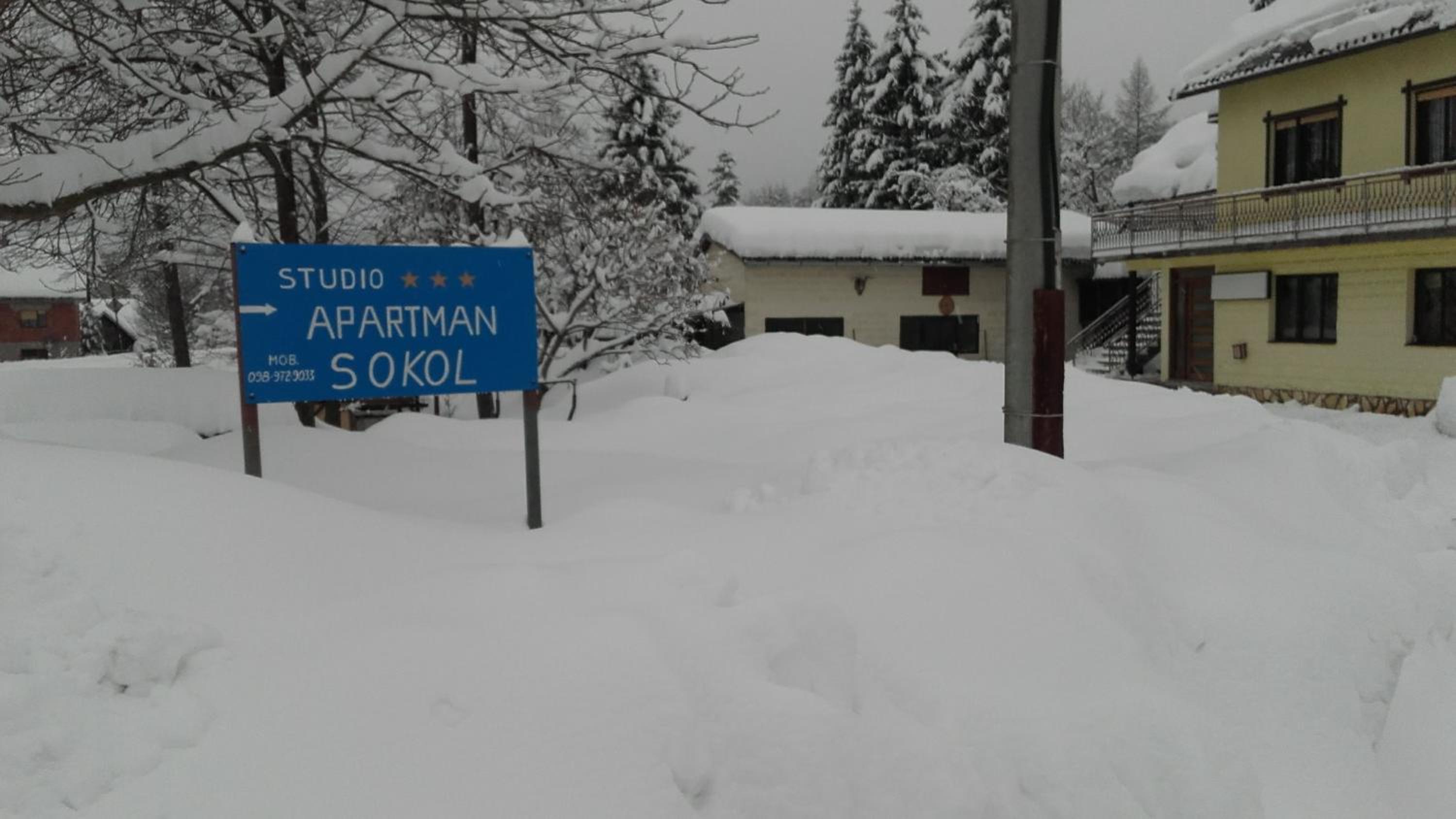 Photo 14