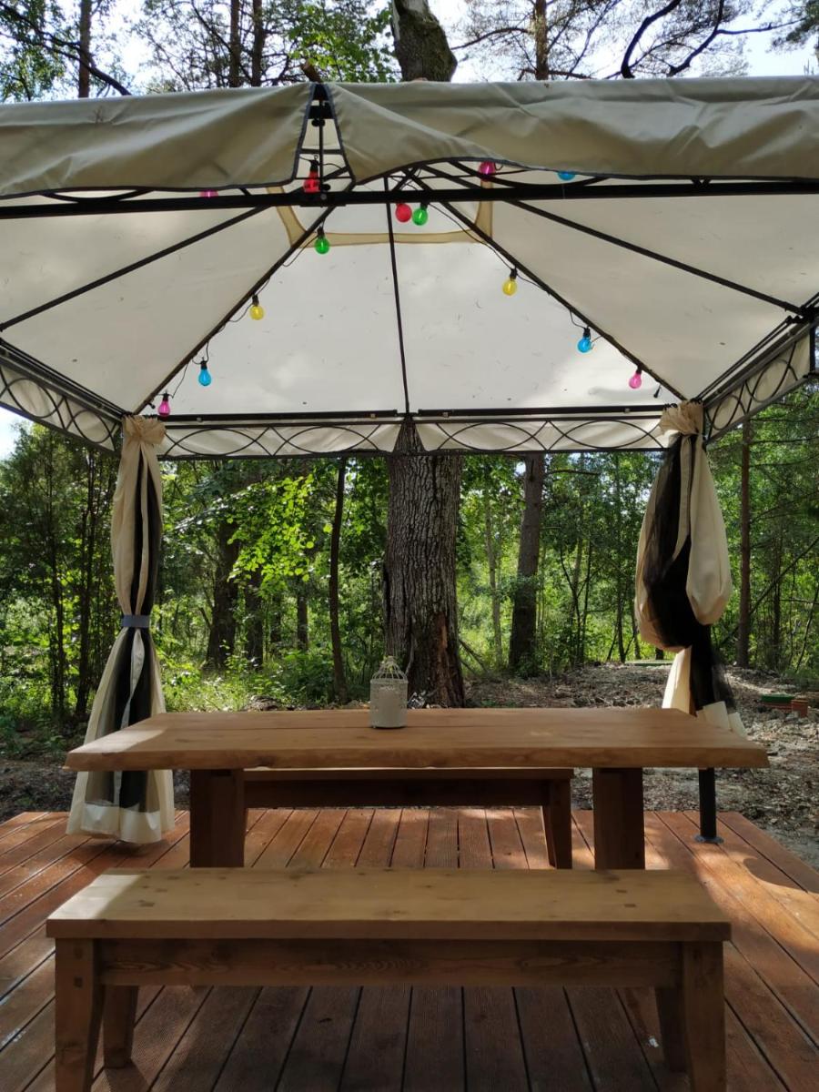 Forest Hut view 3