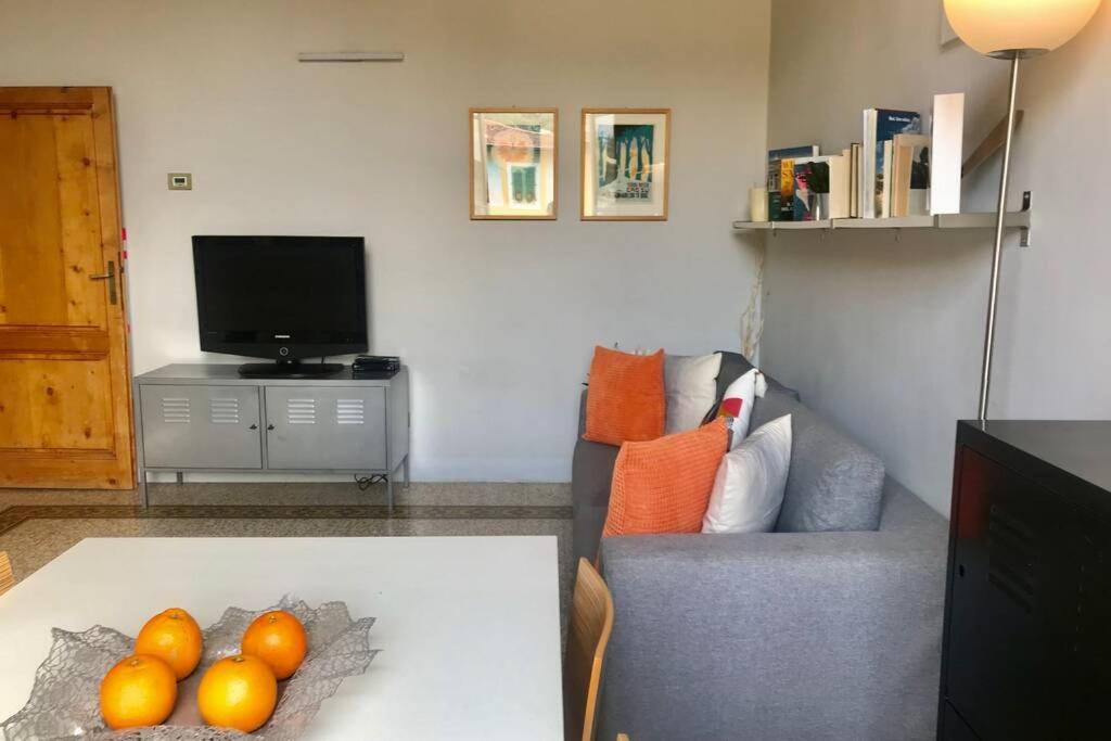 Sunny top floor in San Frediano