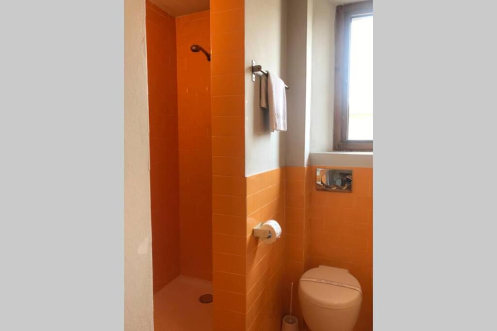 Sunny top floor in San Frediano