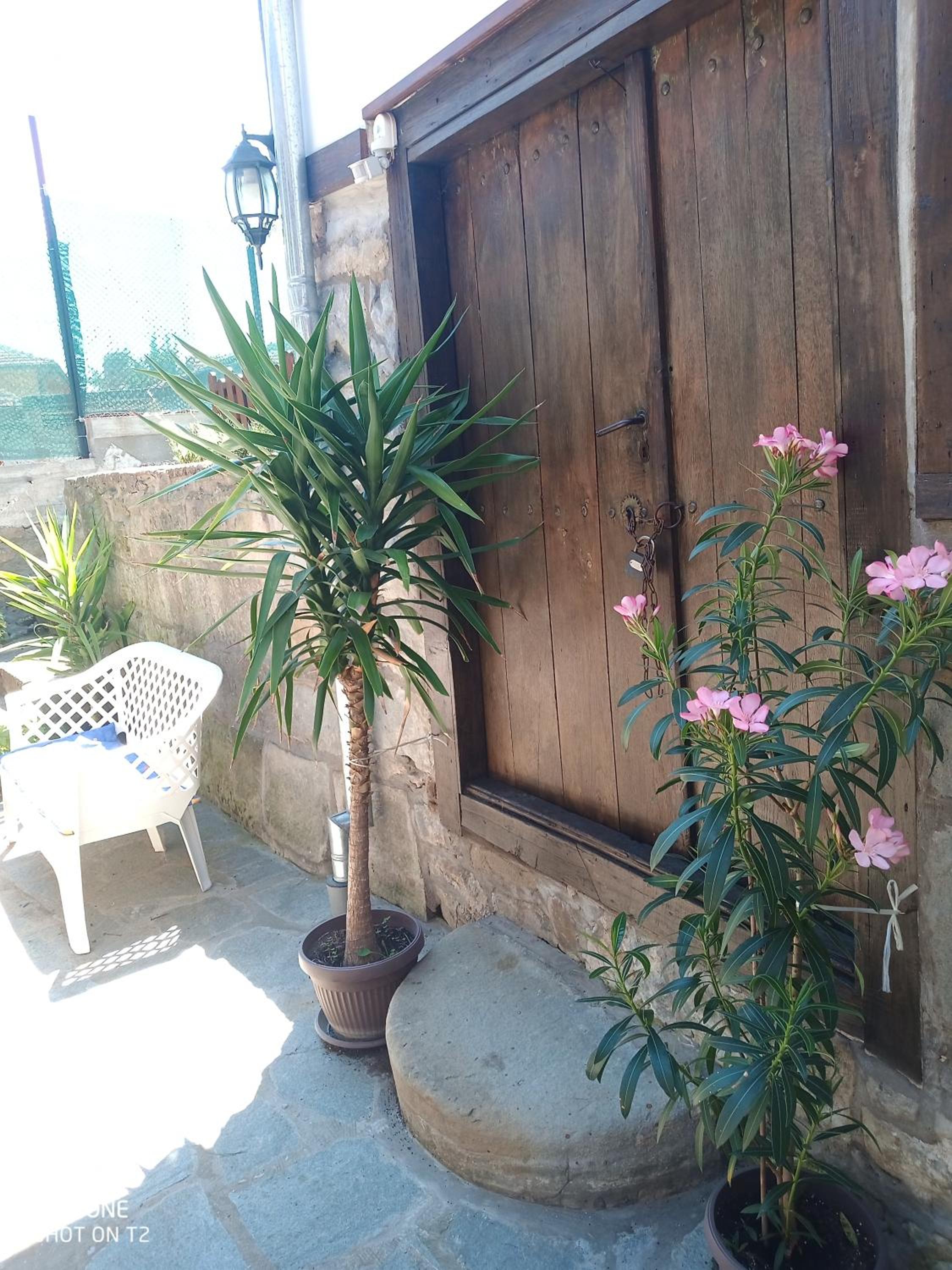 Guest House Strumena