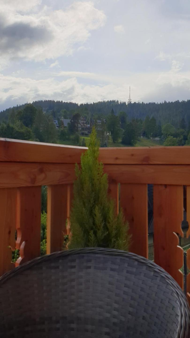 Villa Fortuna - Regionalne apartamenty & SPA - Sauna, Grill, Jacuzzi z widokiem na Tatry