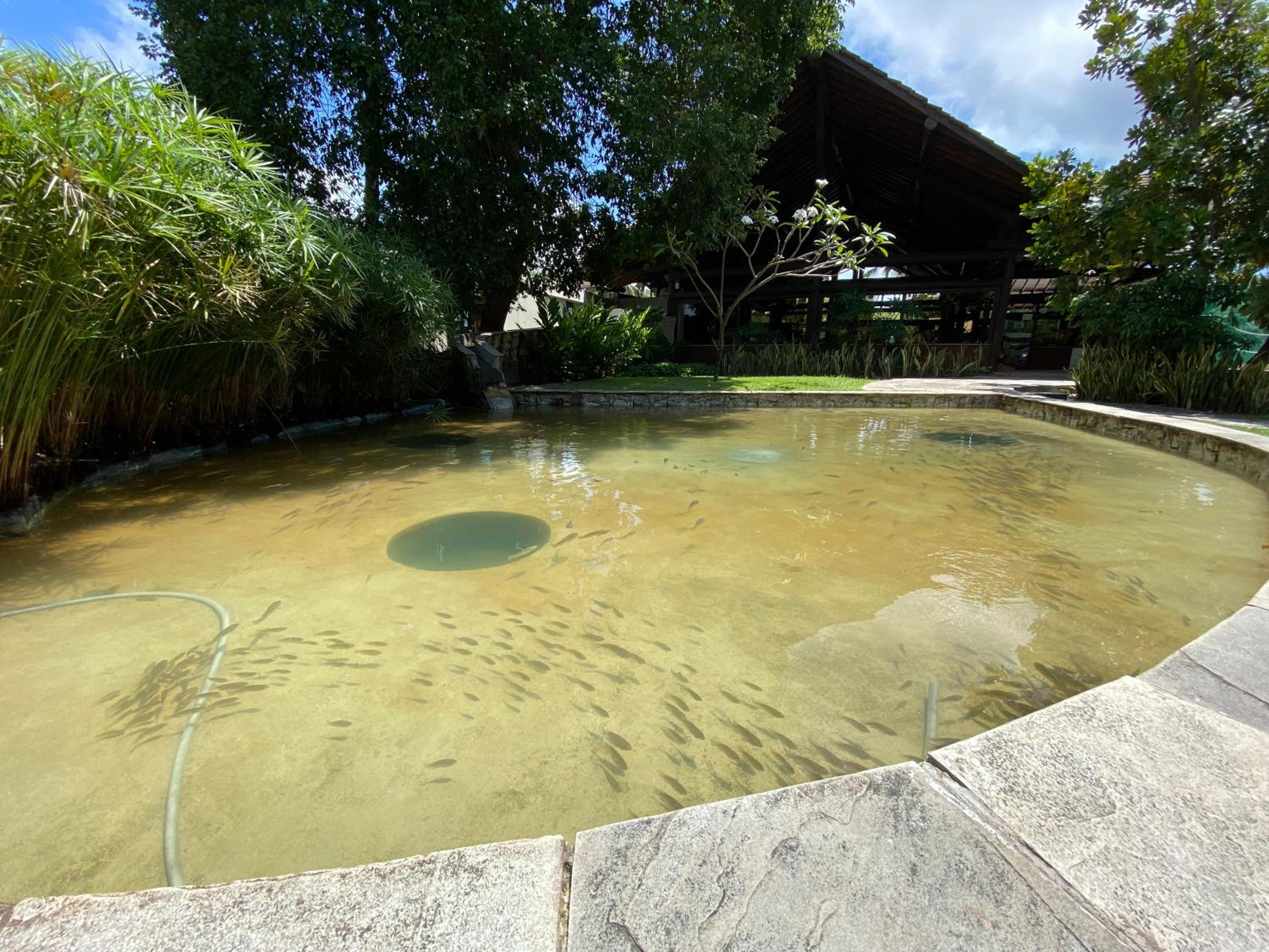 Nannai Residence - Muro Alto - Flat Frente Piscina