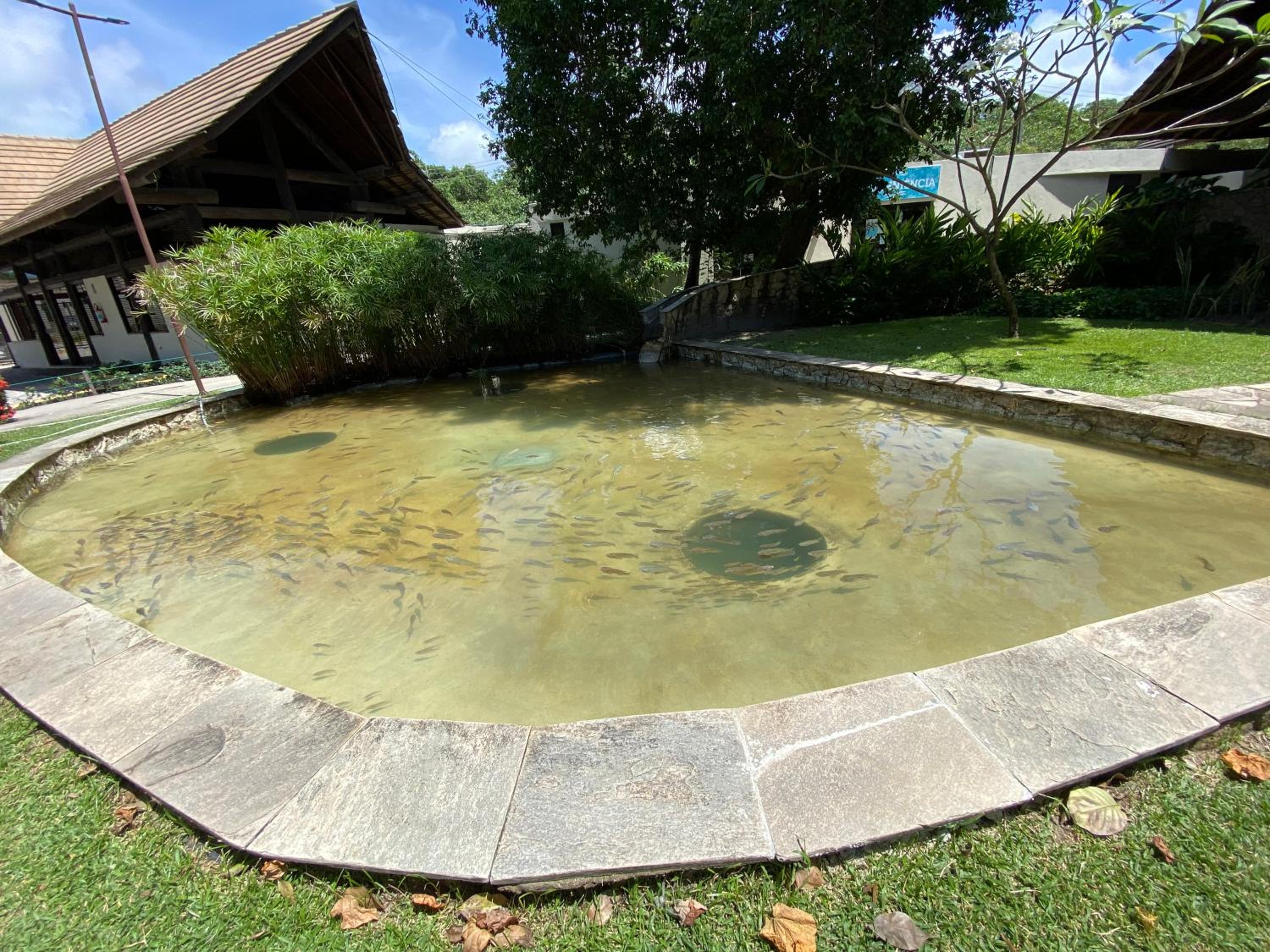 Nannai Residence - Muro Alto - Flat Frente Piscina