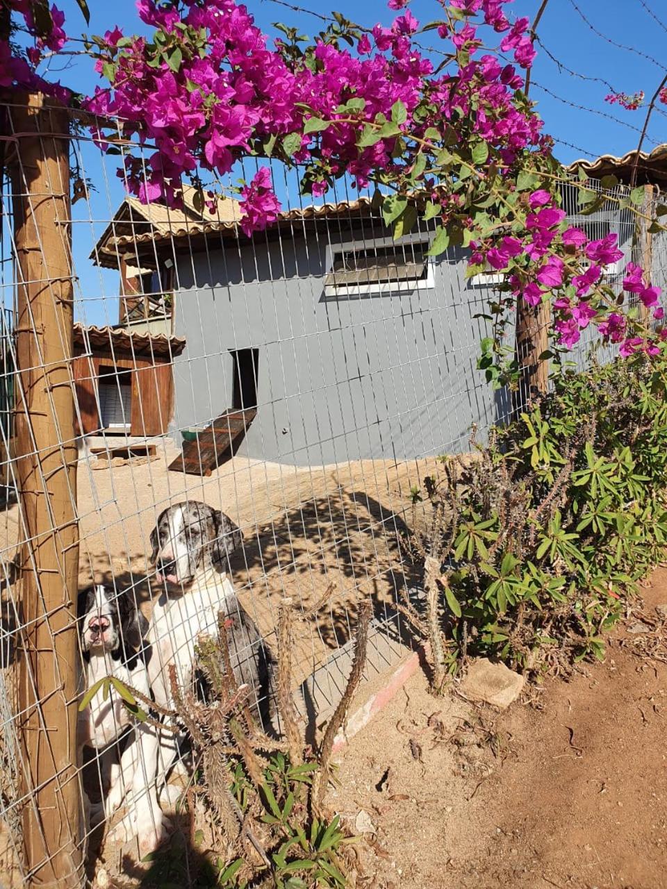 Canto da Pedra - Casa na montanha para descanso