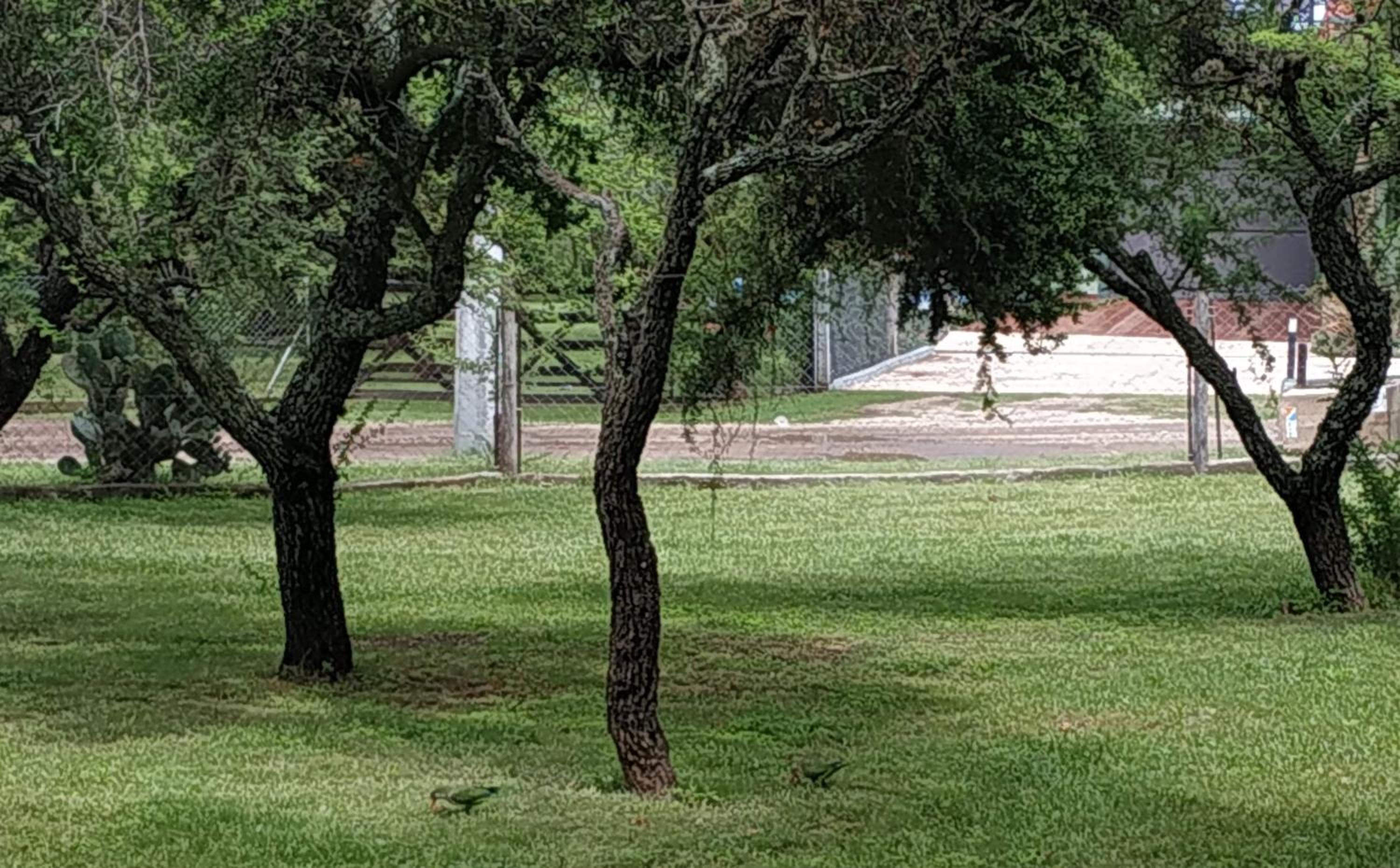El Naranjero Apart