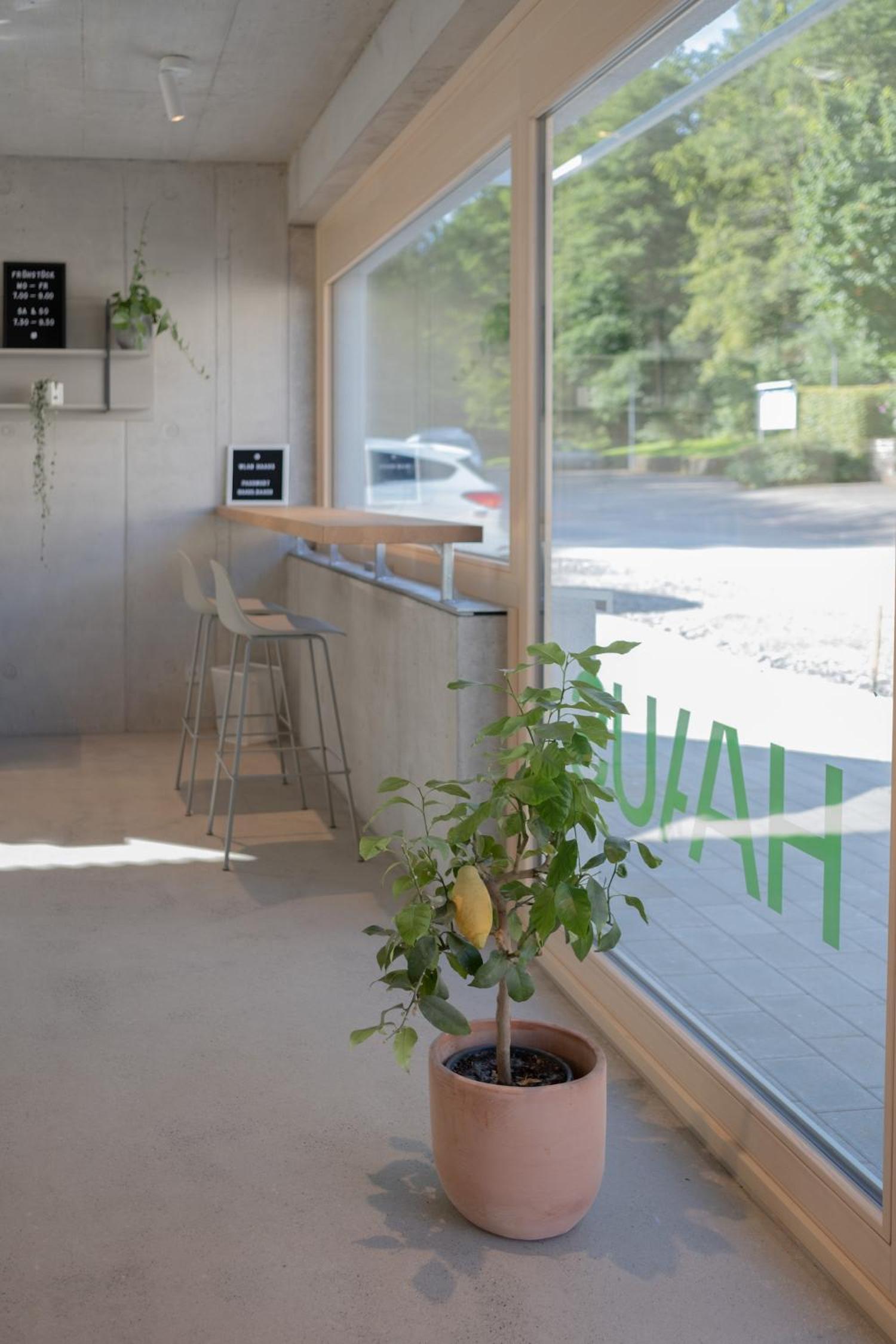 HAAUS, Photo 14