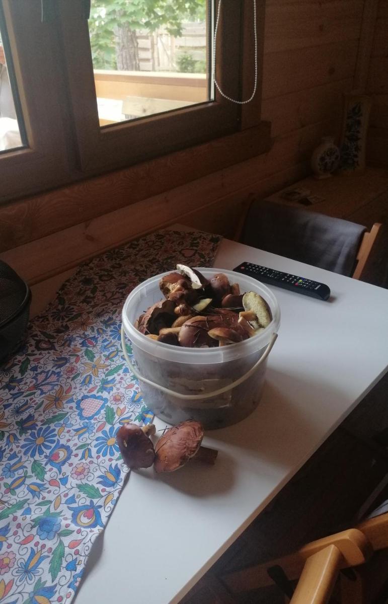 Photo 41