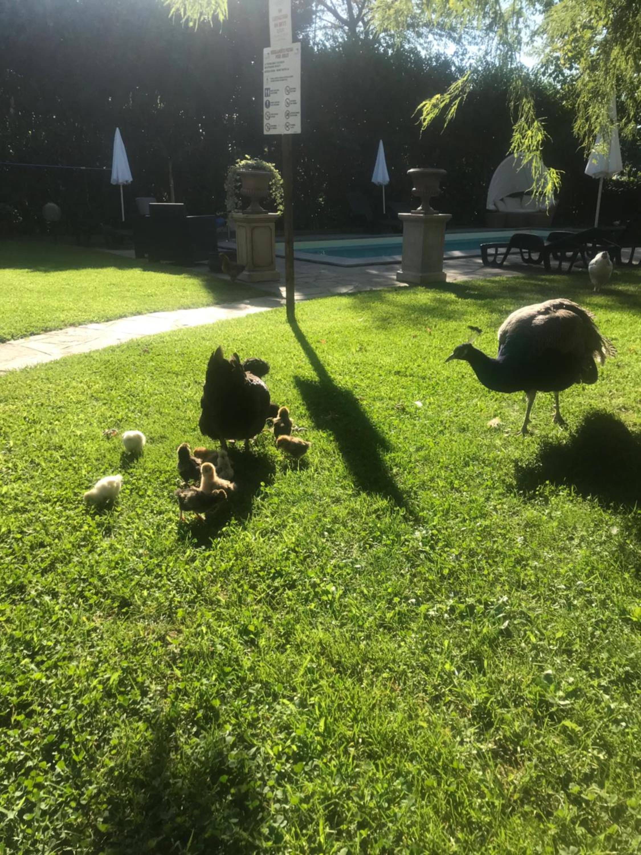 Photo 17