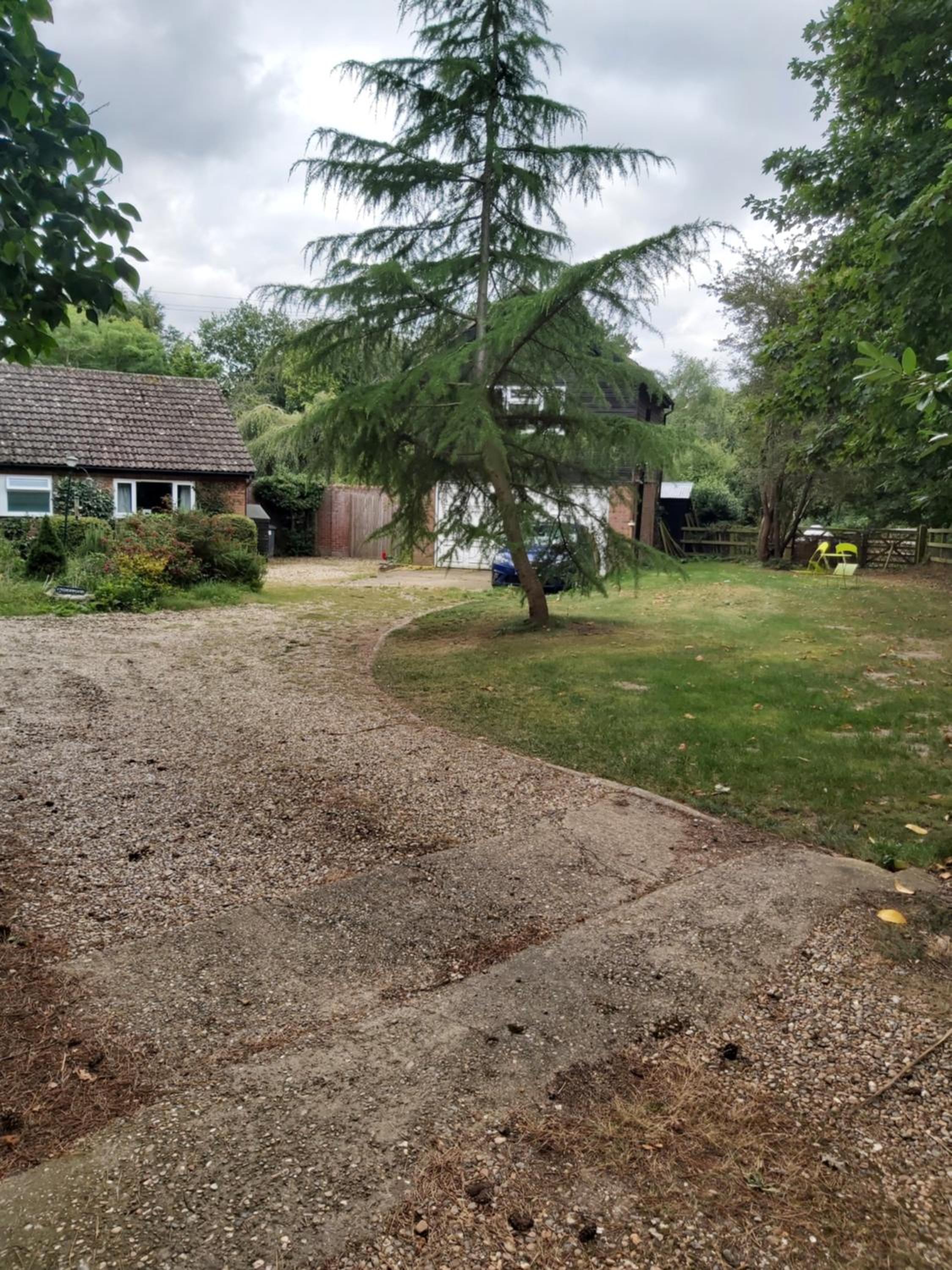 Photo 21